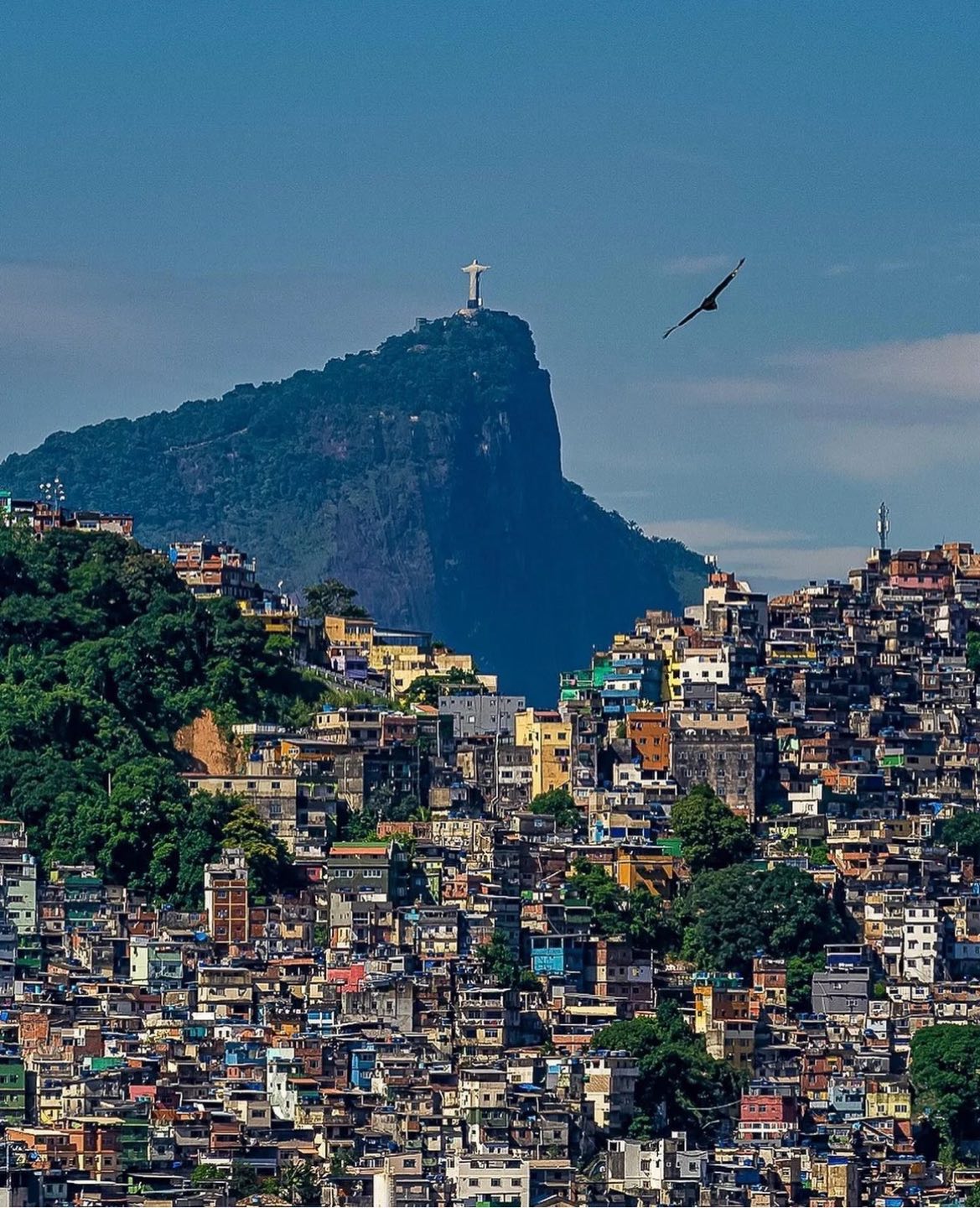 Du haut de la colline du Corcovado le Christ Rédempteur protégeait la Cidade Maravilhosa Rio de Janeiro…. www.lhommederio.fr www.lhommederio.fr #riodejaneiro #joiedevivre #amitié #favela #elenao
#lyon #progres #beauté #population #christ #redemption #jeanpaulbelmondo
#beaute #samba #carioca #beaute #carnaval #christ #redemption #corcovado
#enfant #favelas #elephant🐘 #dieux #deus #amour #love #belmondo
#gang @faveladopaulinho #livre #enfance #belmondo