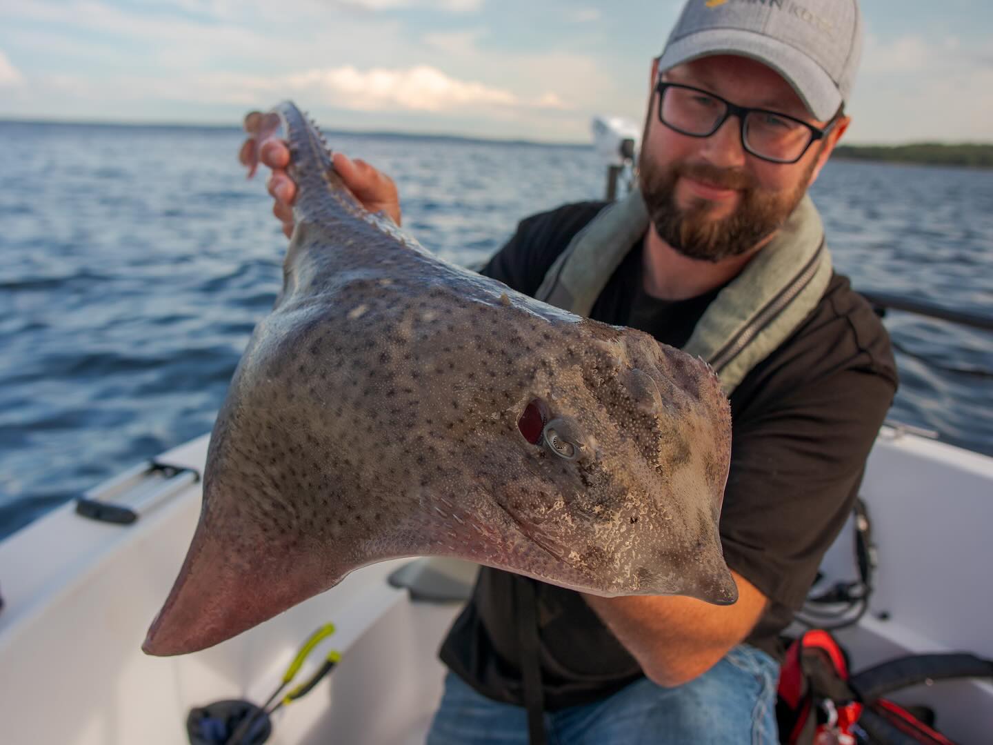 Caught these thornback rays in my local water yesterday. Fascinating creatures that were released back into the sea after a couple of pictures. 🙂
.
.
.
#thornbackray #piggskate #minnkotamotors #humminbird #comstedtfishing #saltwaterfishing #havfiske #oslofjorden