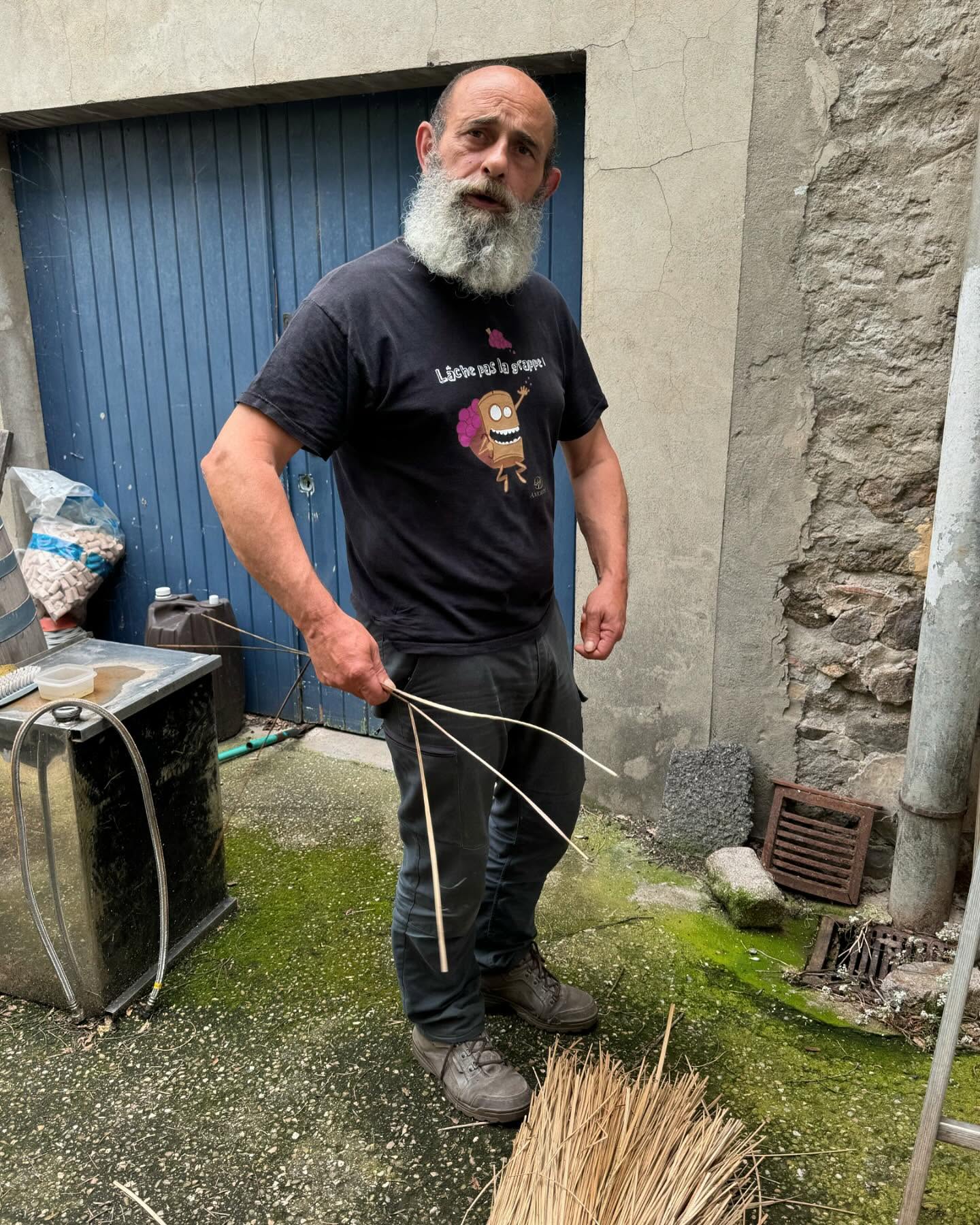 Pierre Benetiere on tieing vines to a stake using straw / rushes.
#echalas #jonc #coterotie #pierrebenetiere