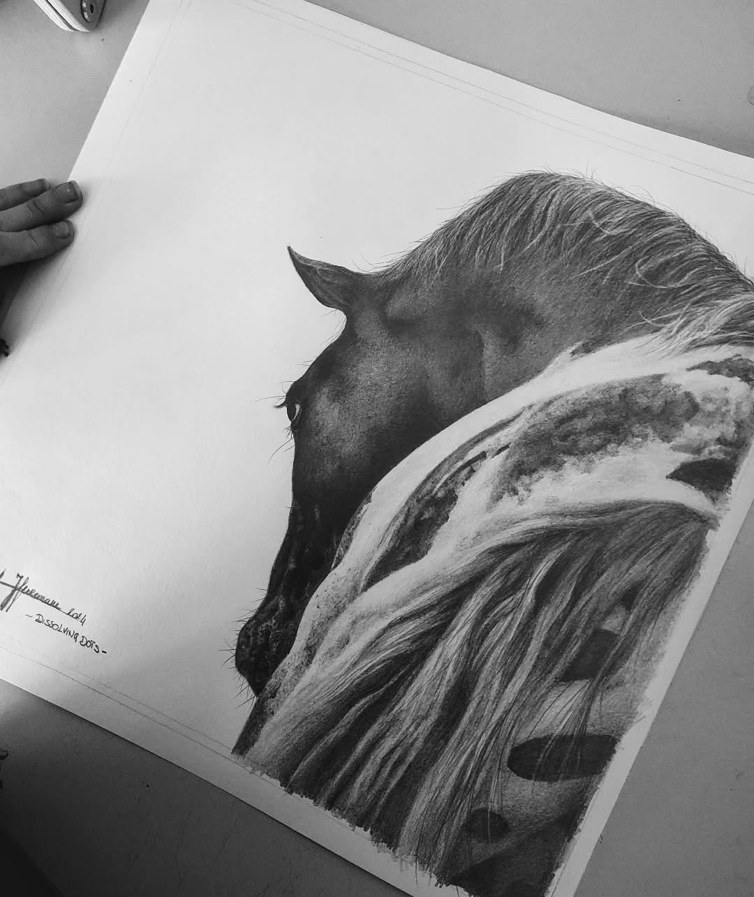 Helemaal verliefd op deze prachtige appaloosa vacht van de knappe Appie van @dots.of_love 🖤🤍
Ik denk eraan om deze beschikbaar te maken als limited edition - print. Wat denken jullie: goed idee?
#atelierbyerica #horseportrait #pencildrawing #graphitedrawing #art