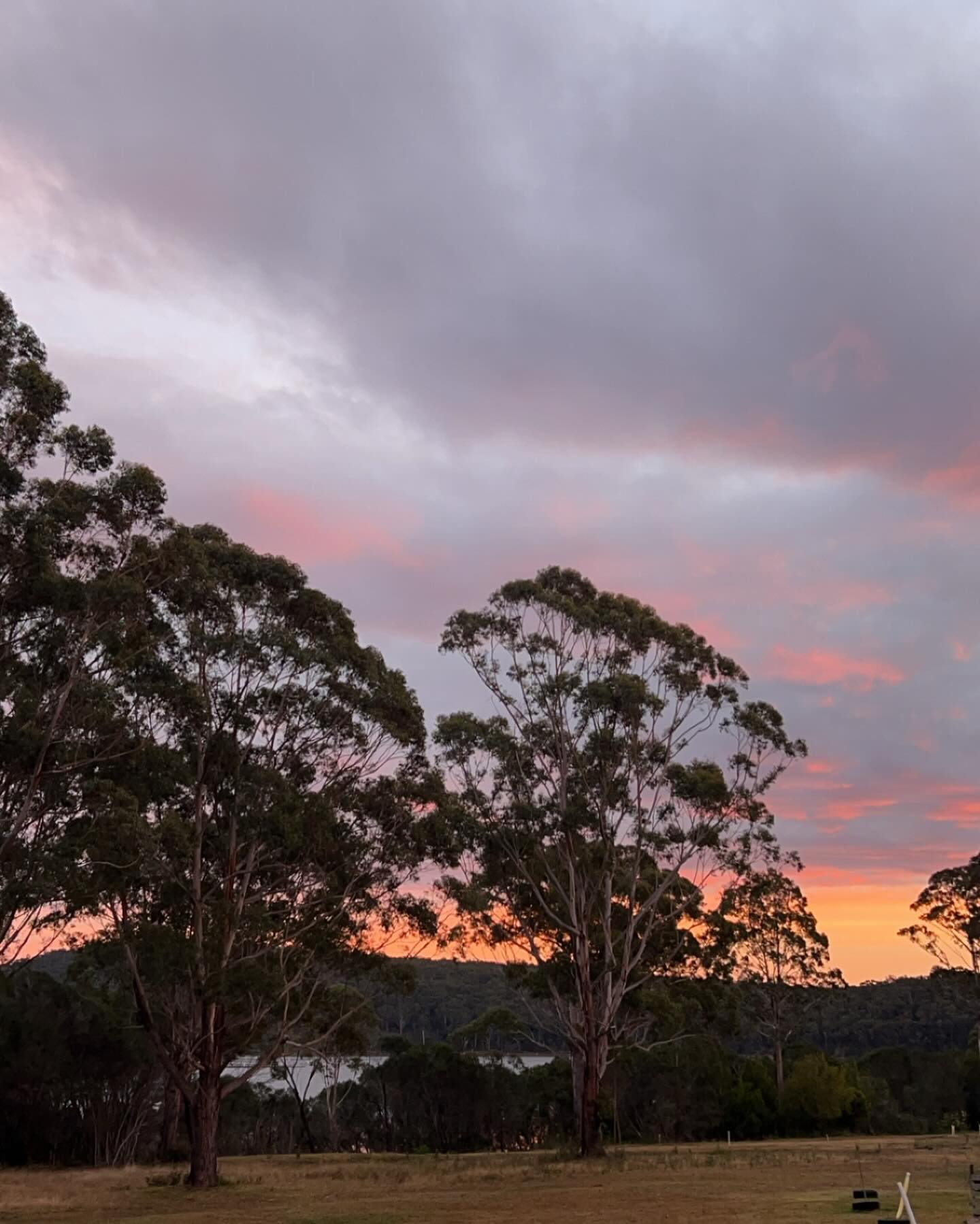 Another beautiful morning ❤️ Happy Monday!