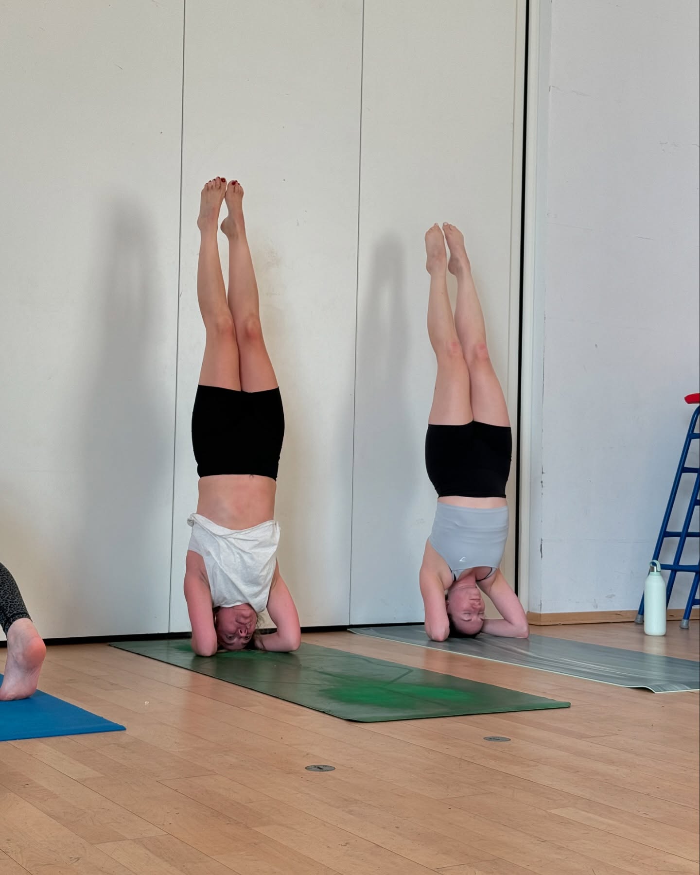Not to brag but this post is me bragging about my yogis.
Few wee headstands and forearm stands here just cos that’s how we do baby 💅