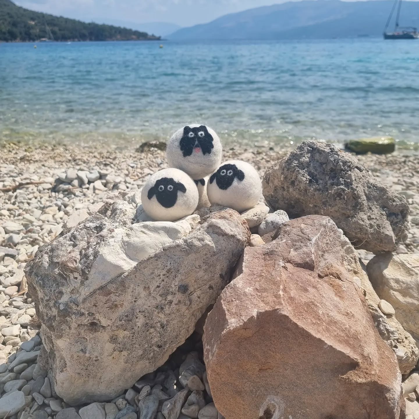 Beach day for the Flock!
#Britishwool #Needlefelting #Wetfelting #AmandaPrimrose #SheepWoolDryerBalls #SustainableLiving #GreekIsland #LaundryDay #Naturalliving #photooftheday #sheep #beachlife