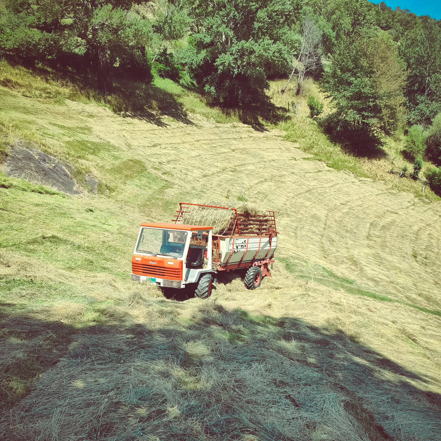 Die Heuernte ist voll im Gang
#brandeija #heuernte #heuen