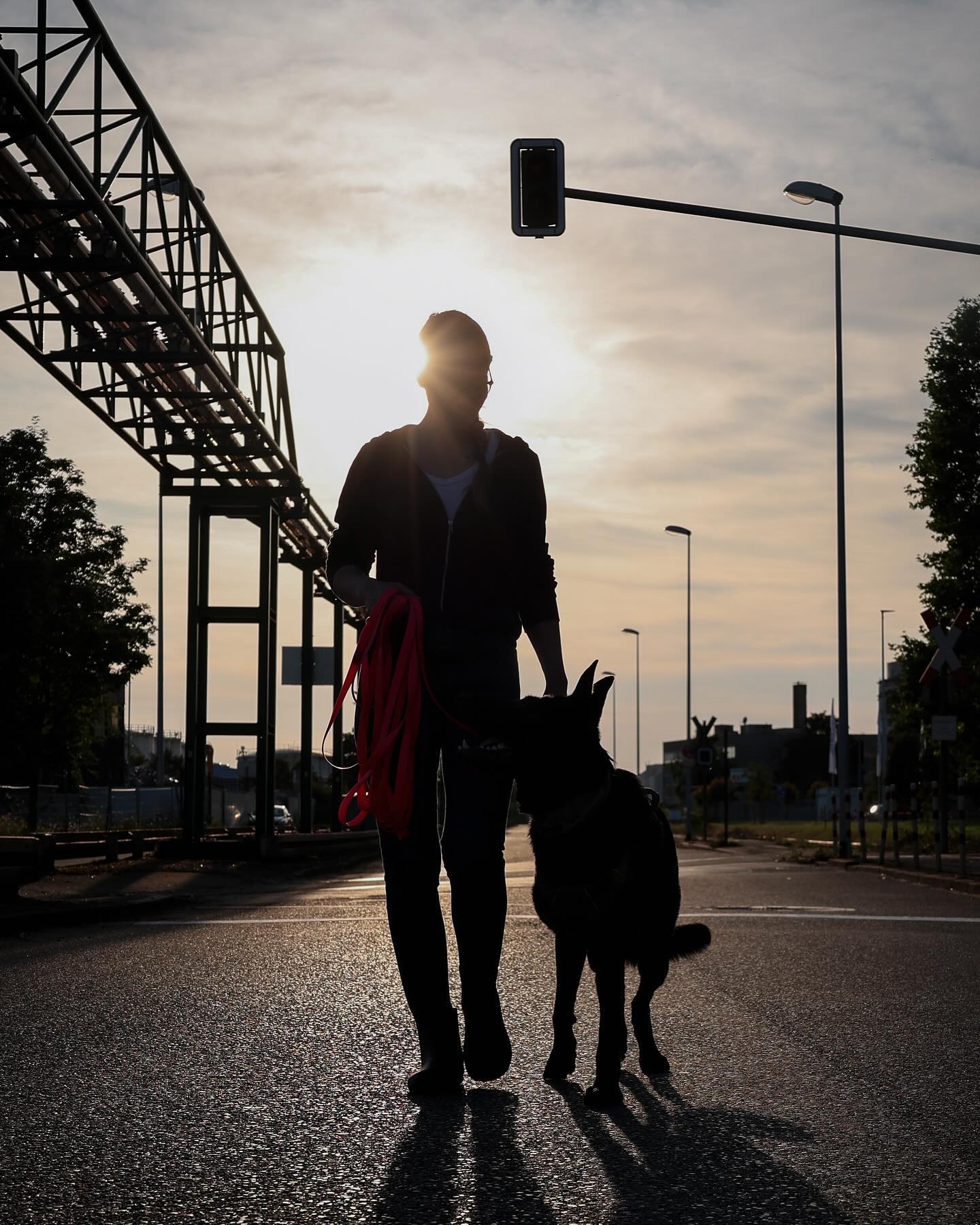 ->Wusstet ihr, dass Hunde bis zu 220 Millionen Riechzellen besitzen?
•
Wir Menschen hingegen besitzen lediglich nur ca 5 Millionen Riechzellen☝🏼
•
Hunde sind demnach wahre Nasenarbeitsmeister!
•
•
#hund #hundeliebe #hundetraining #hundetrainer #dogtraining #dogtrainer #dogtrainingtips #dogoftheday #instadog #dogsofinstagram #gsd #gsdlove #germanshepherd #deutscherschäferhund #hundefotografie #hundefoto #dogphotography #dogphoto