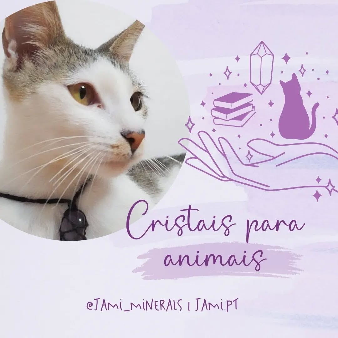 Estamos neste momento com um desafio em mãos, uma cadelinha recém adotada, na qual começámos a fazer terapia pois tem sido bastante difícil educar. Os cristais que usamos são essencialmente a Fluorite, a Howlite (que não falamos nas imagens mas é muito importante em terapia para ativar o chakra braquial e permitir uma conexão), a Ametista e a Cornalina (que não falamos também mas que é ótima para ajudar a corrigir desvios comportamentais).
E foi na sequência desta situação que decidimos partilhar estas dicas que esperamos ser úteis 😊 se quiseres um fio como o da Shiva (gatinha) ou o da Luna (cadelinha), podes pedir um macramê no nosso site, escolhendo o cristal que pretendes e indicando nas observações se é para cao/gato e qual o porte (pequeno/medio/grande).
Se pretenderes aprender a realizar terapias em animais, dá uma espreitadela na nossa formação de Litoterapia 😉 também podes aprender na formação de terapeuta holístico 😍
Caso precises de outras dicas ou sugestões, entra em contacto connosco 🥰 temos muito gosto se pudermos ser úteis.
#quartz
#crystals
#crystalhealing
#healingcrystals
#cristais
#curacomcristais
#reiki
#lojadecristais
#crystalshop
#crystallovers
#crystaloftheday
#goodvibes
#loveanimals
#heal
#naturaltherapies
#autoconhecimento
#natural
#mineral
#meditar
#meditation
#pazinterior
#bemestar
#cura
#terapiasalternativas
#terapeuta
#holistic
#lifestyle
#holistichealing