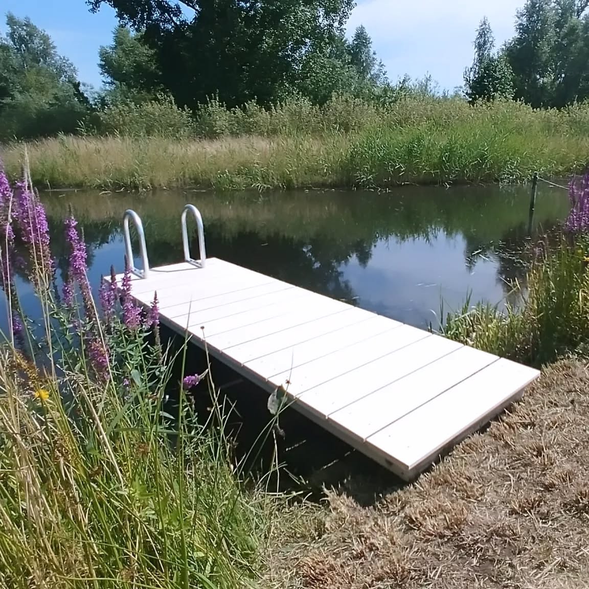 Optijd klaar voor de komende zomerse dagen: steiger voor een zwemvijver. De steiger is van massief hout met een drijver.
Ik heb gezocht naar duurzaam hout. Zowel in levensduur als in effect op de natuur. Vaak wordt voor steigers geïmpregneerd hout gebruikt. Wanneer het hout contact maakt met het water en bijvoorbeeld palen in de grond staan komen de stoffen van het impregneer vij. Deze zijn schadelijk voor de organismen in het water en de bodem. #accoyahout blijft tot 50 jaar goed bovengronds en er blijven bij contact met de bodem en water geen stoffen achter die schadelijk zijn voor omgeving.
#snijdthout #steiger #duurzaamhoutbouw #meubelsopmaat #zwemvijversteiger #opmaat #maatwerkmeubels