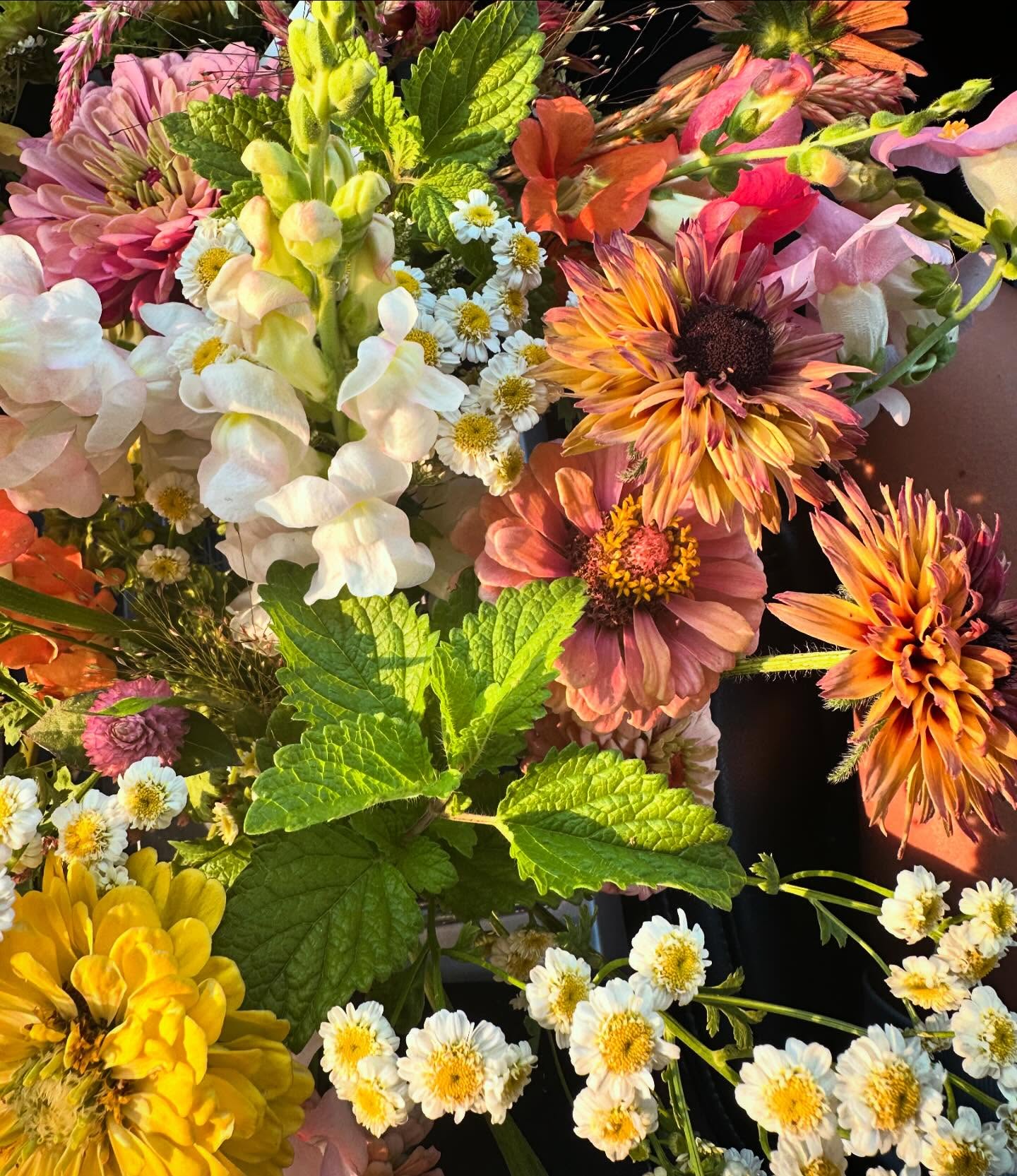 Monday morning deliveries! #wellgrownflowers #wellgrownfarm #localflowers