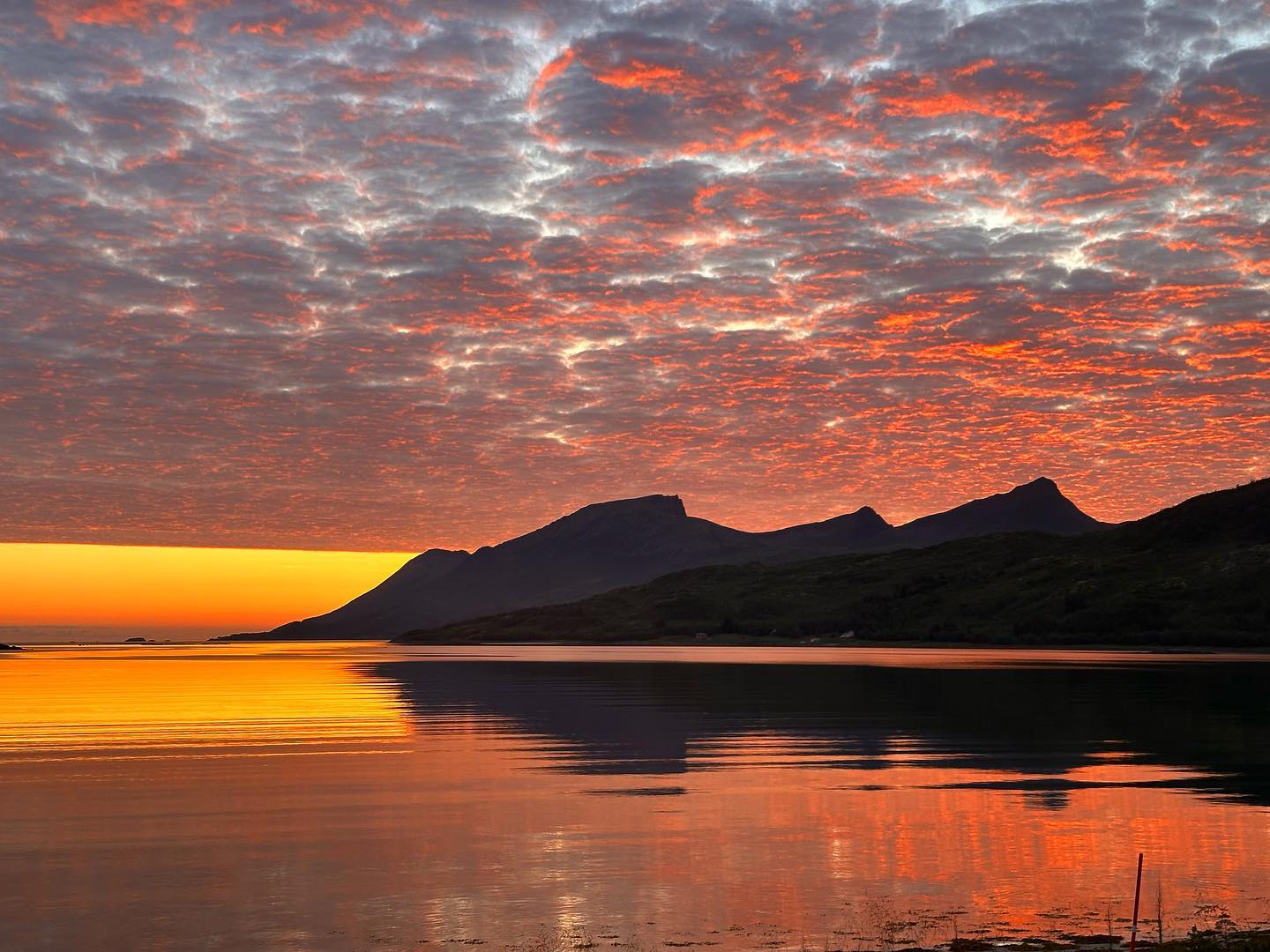 A “sunset” so bright bringing the full sky on fire🔥🌅
You only find this in the northern part of Norway 🇳🇴 The sun never goes down and creates such beautiful sunsets every night.. Breathtaking😮💨
In a few days we will share a beautiful road trip with you across the island of Senja outside Tromsø📍If you think nothing can beat the Lofoten islands, you haven’t been here..🫠🤫
#vanlife #vanlifestyle #luxurylifestyle #explorenorway #exploreoslo #campervan #camperlifestyle #campervans #oslo #norway #campingtrip #luxurycamping #getaround #getaroundnorway #northernlights #northernnorway #booking #opplevno #lofoten #campr #utno #visitnorway #visitoslo #visitlofoten