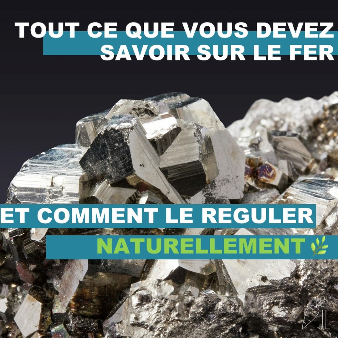 💡 Question pour vous : avez-vous déjà fait des tests de fer ? 🤔🔍
🤩 Témoignages : si vous avez déjà surmonté une carence en fer, racontez-nous votre expérience et comment vous vous êtes senti.e après ! ✨💪
#Santé #Naturopathie #Fer #BienÊtre #Nutrition #Anémie #Énergie #BoostYourIron