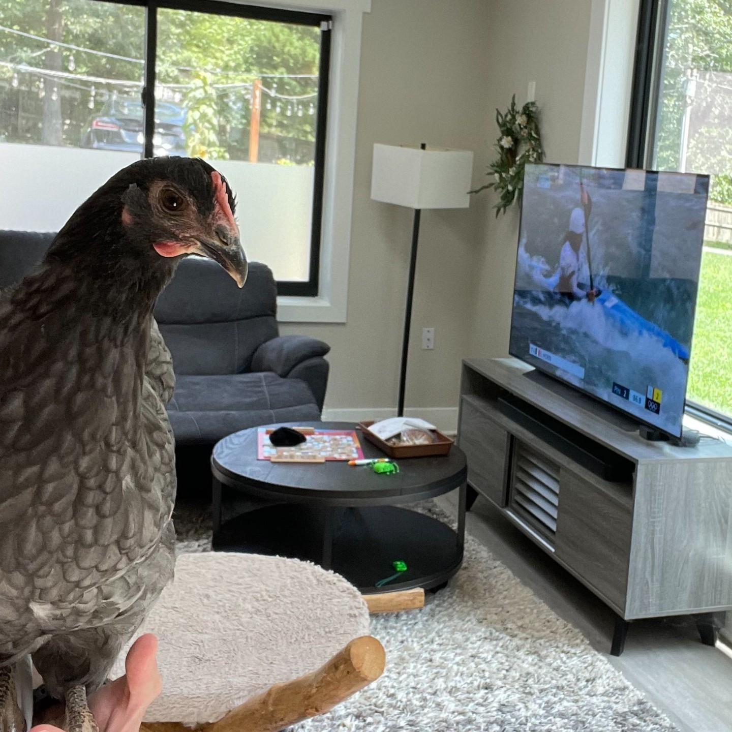 If you're like me, over the last week and a half, you've been tuning in to watch any and every Olympic event that happens to be on during your free time. It's easy to get mesmerized by the athletes defying the laws of physics. (Who knew white water kayaking, or canoe slalom as itās apparently called, would be so entertaining to watch?!) But let's not fall into the trap of comparing our non-Olympian bodies to theirs. Remember, smaller doesn't mean faster, stronger, or better. š
Better yet, letās not judge them for the appearance of their bodies at all.
These athletes have dedicated their lives to their sports. Their bodies are incredible tools honed for their specific events, not standards for everyday life.
Let's focus on fueling our own bodies to perform best in our daily activities, whatever that looks like for each of us.
Nutrition and self care play crucial roles in how we feel and perform, not just in sports, but in life. Let's celebrate the diversity of all bodies and recognize that health and strength come in many forms. šŖ
Bonus fun fact: The co-author of Intuitive Eating, Evelyn Tribole, qualified for the Olympics in 1984. šāāļø