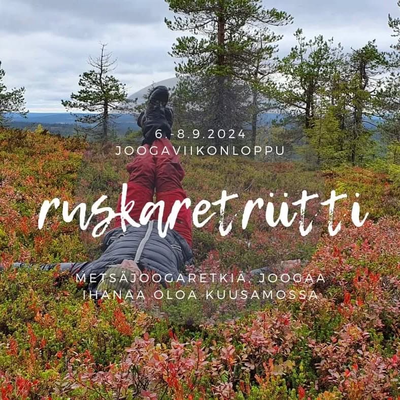 Hyvää oloa, lempeää joogaa, luontohyvinvointia ja Kuusamon syksyiset maisemat!
🍂Kuusamon luonto on maailmankuulu kauneudestaan ja metsäjoogaretki näissä maisemissa tekee aivan erityisen hyvää. Täältä löytyy meille luonnon joogasaleja mahtavista maisemista.
Viikonlopun aikana pääset nauttimaan metsäjoogaretkistä Riisitunturin henkeäsalpaavissa maisemissa ja Valtavaaran rinteillä. Aamu- ja iltajoogat virkistävät aamuisin ja palauttavat päivän retkistä illalla. Porojooga on aivan erityinen elämys porotokan keskellä.
🛁Majoituksesi on RukaValleyn uudessa hotellissa, jonka huoneissa on oma sauna ja kylpyamme, sekä erityisen muhkeat vuoteet takaamaan hyvät unet.
🧘🏻♂️Ohjelma
Torstai 5.9.2024
- Sisäänkirjautuminen majoitukseen
- Vapaata aikaa. Vinkki: katso tästä Rukan lähialueen upeat luontokohteet: retkikartta.fi ja ruka.fi
- Iltaretki Pyhävaaralle.
Perjantai 6.9.2024
- aamupala
- 10–15 Metsäjoogaretki Valtavaaralle
Valtavaaran vanhat kuusikot ja vaaranlakien punaisena loistavat riekonmarjamatot ovat tämän päivän joogastudiomme. Huipuilta aukeaa upea näkymä itään ja länteen. Kuljemme myös pitkin Karhunkierrosta ja reitin varrelta löyty monta ihanaa metsäjoogahetkeä.
- 17-18:30 Palauttava ja hyvää tekevä yinjooga.
- Omakustanteinen illallinen. Valitse mieleisesi Rukan ravintolatarjonnasta
Lauantai 7.9.2024
- aamupala
- 9.30 Porojooga Kujalan porotilalla
- siirtyminen pikkubussilla Kujalalta Riisitunturille
- 11.30–17 Luontohyvinvointiretki Riisitunturin ruskaan
Riisitunturi on lumoava tunturialue Lapin puolella. Huipuilta aukeaa huikea näkymä kaikkiin ilmansuuntiin ja tunturin tuuli tuulettaa ihmisen aivan erityisen hyvin. Retken pituus 6 km. Retken aikana nautimme retkilounaan nuotiolla
- 19.00 illallinen (omakustanteinen)
- 20.30 Restoratiivista joogaa ja tekniikoita palautumiseen ja stressinhallintaan
Sunnuntai 8.9.2024
- 7:30-8:30 Virkistävä aamujooga
- aamupala
- Hyvää kotimatkaa!
Kokonaisuuden hinta 589€/hlö/3 yötä jaetussa kahden hengen huoneessa.
Tule vieraaksemme uppoutumaan luontoomme.
Tapahtuman koko ohjelma ja varaukset MynPolun nettisivuilta ☝️