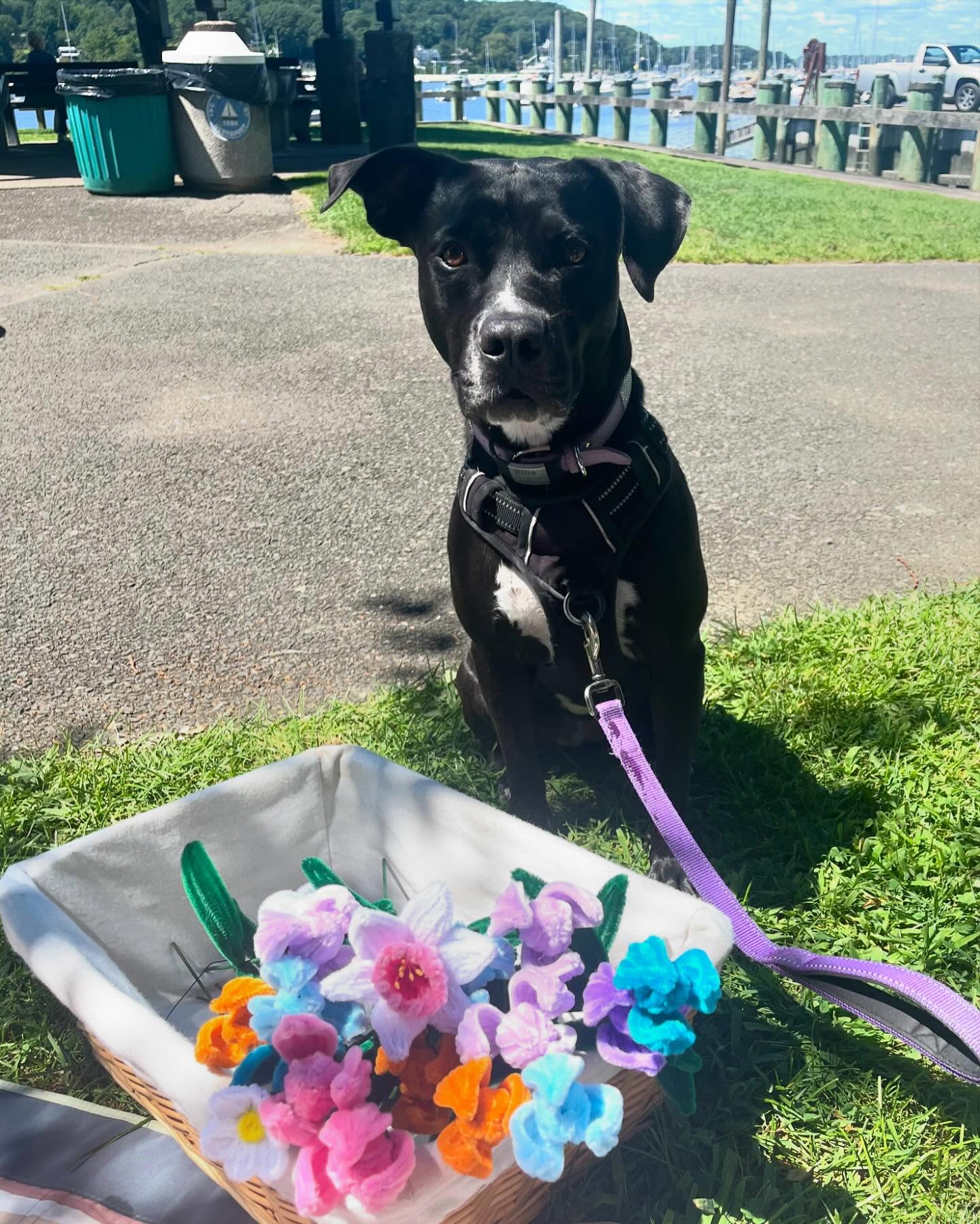 Best day at Northport yesterday. We met so many amazing people and are so grateful for their purchases and donations. It will definitely be our new spot for sales!!! 💗#northport #foreverflowers #nonprofit
