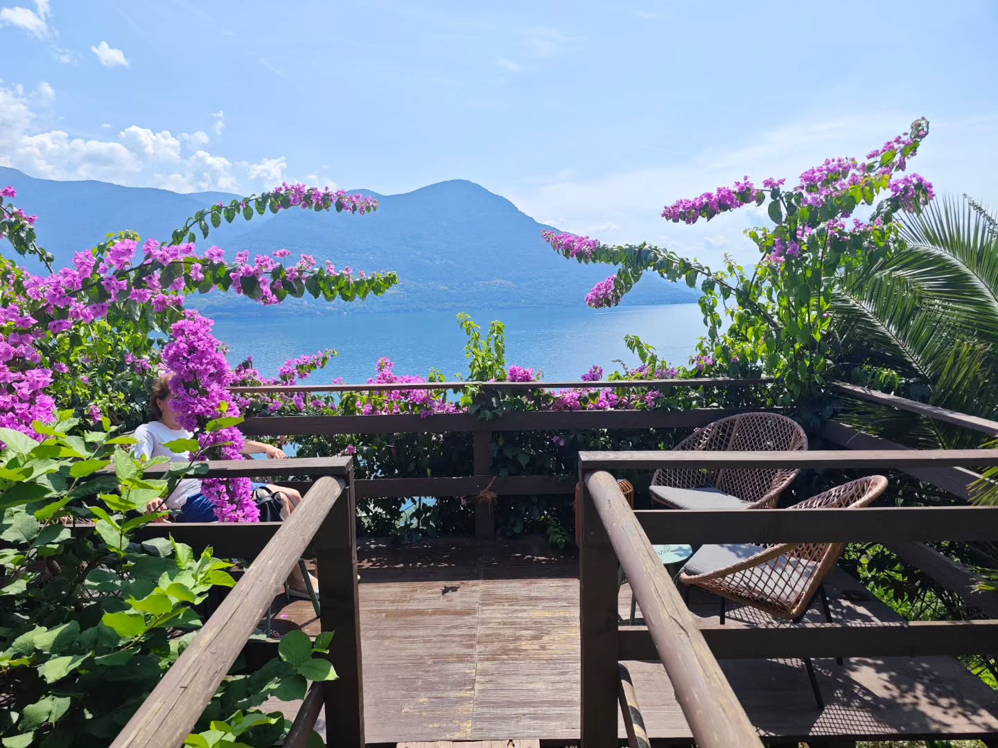 I always find relaxation when visiting the garden at Hotel Brenscino in Brissago. As a true garden hotel, it offers lush greenery and breathtaking views over Lago Maggiore. Their breakfast is the perfect way to start the day, and it's always a pleasure to stroll through the garden, enjoy a meal, or sip a cappuccino while taking in the stunning scenery.
-
Mi rilasso sempre quando visito il giardino dell'Hotel Brenscino a Brissago. Essendo un vero hotel con giardino, offre una rigogliosa vegetazione e viste mozzafiato sul Lago Maggiore. La loro colazione è il modo perfetto per iniziare la giornata, ed è sempre un piacere passeggiare nel giardino, gustare un pasto o sorseggiare un cappuccino mentre ammiro il panorama.
#brissago #brissagoislands #visitbrissago
#visitticino #ticino #ticinoturismo #switzerland #switzerland🇨🇭 #travel #swiss #swissriviera #brissago4u #lake #boat
#fineartphotography
#swissalps #swissculture #loves_united_switzerland #switzerlandwonderland #got_greatshots #planet_earth_shots #suissebook #discoverthealps #discoverswitzerland
#mybrissago
@mybrissago
@lidobrissago
@tcbrissago
@bahiabrissagosnackbar
@cantina.giromit
#cantina.giromit
@aziendavitivinicolachiappini
#aziendavitivinicolachiappini