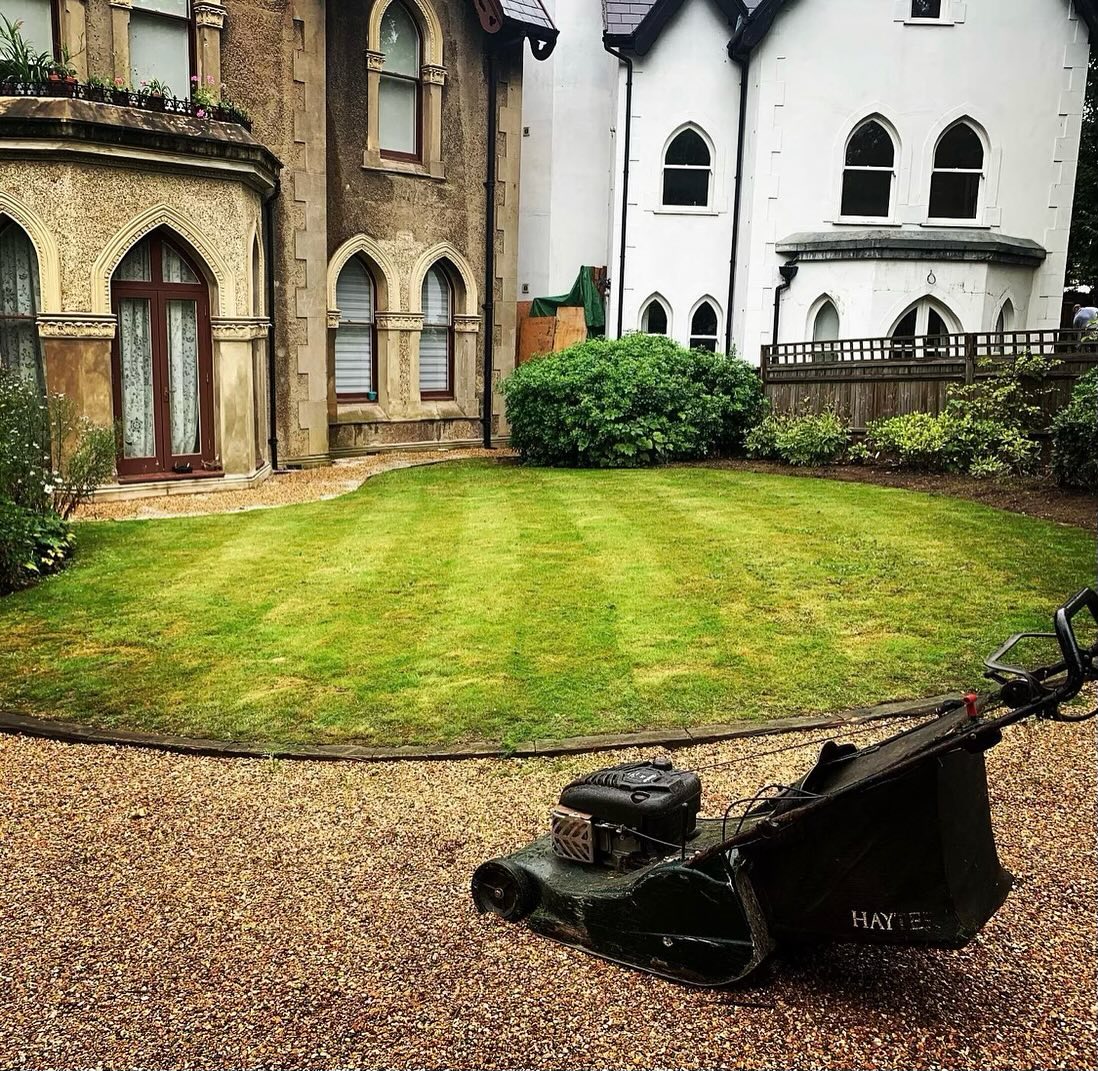 Förvandla din trädgård idag! ✨🌳
✅ Använd ditt rutbidrag vid betalaning
🔸Trädgårdsröjning
🔸Häckklippning
🔸Beskärning
🔸Ogräsrensning
🔸Gräsklippning