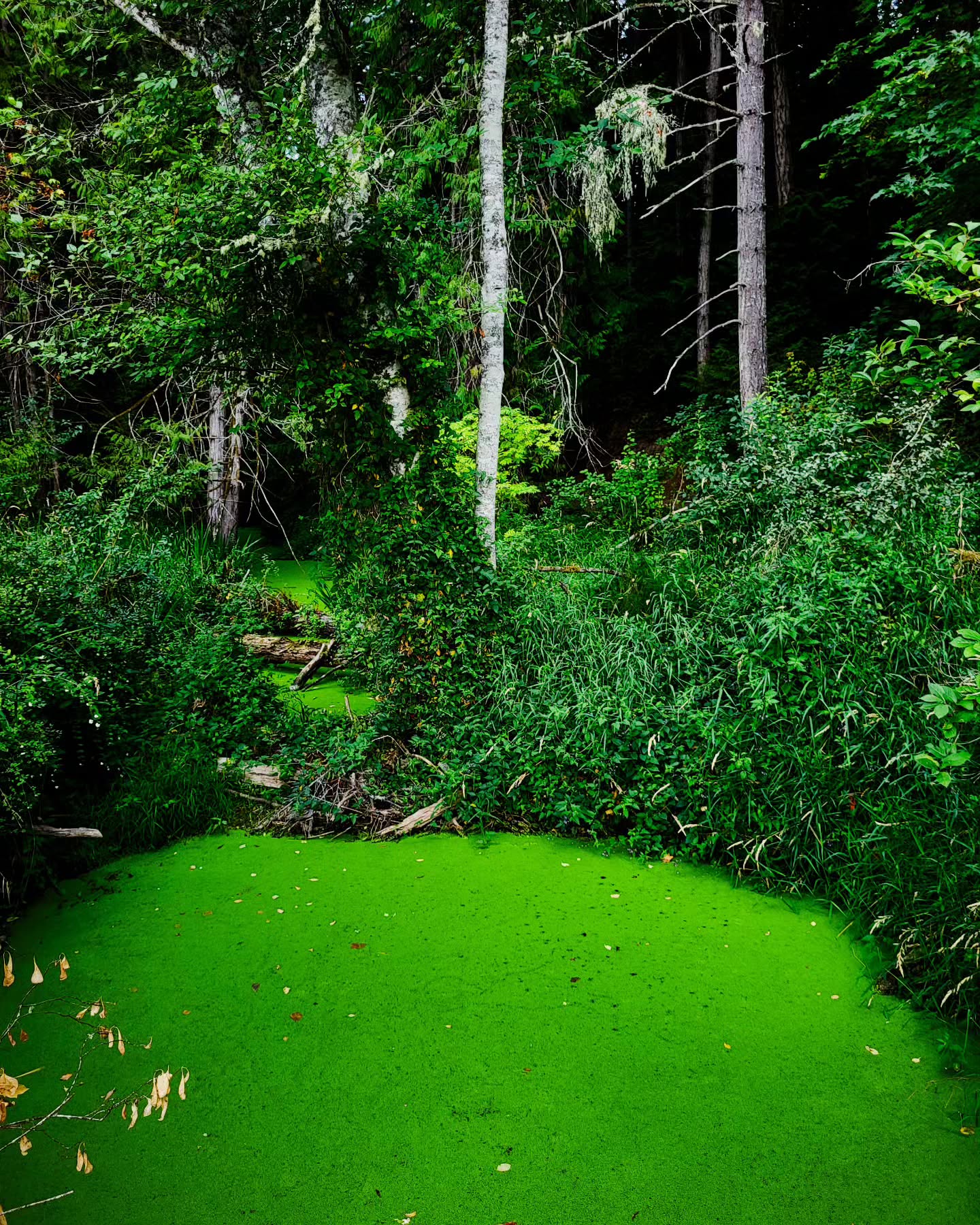 One day, everything that's happening right now will make sense. One day, I'll understand the lessons and be thankful for the journey.