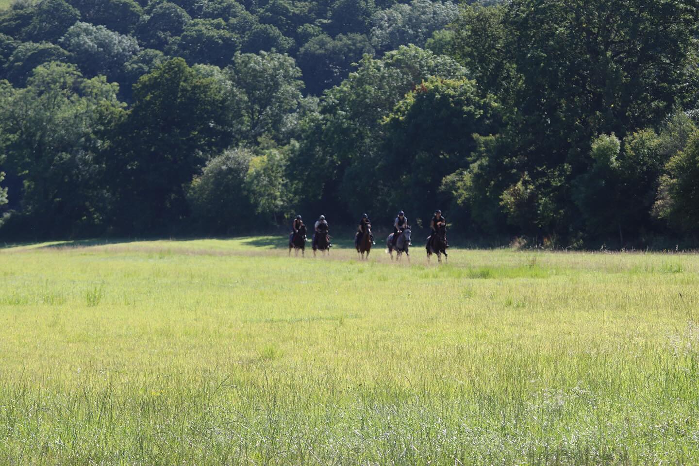 A beautiful morning at Dason hosting members of @ctdracing to see their two syndicate horses back in action #sharedownership #tomsymondsracing #teamsymonds #herefordshire #redmillshorsefeeds #gundoggin