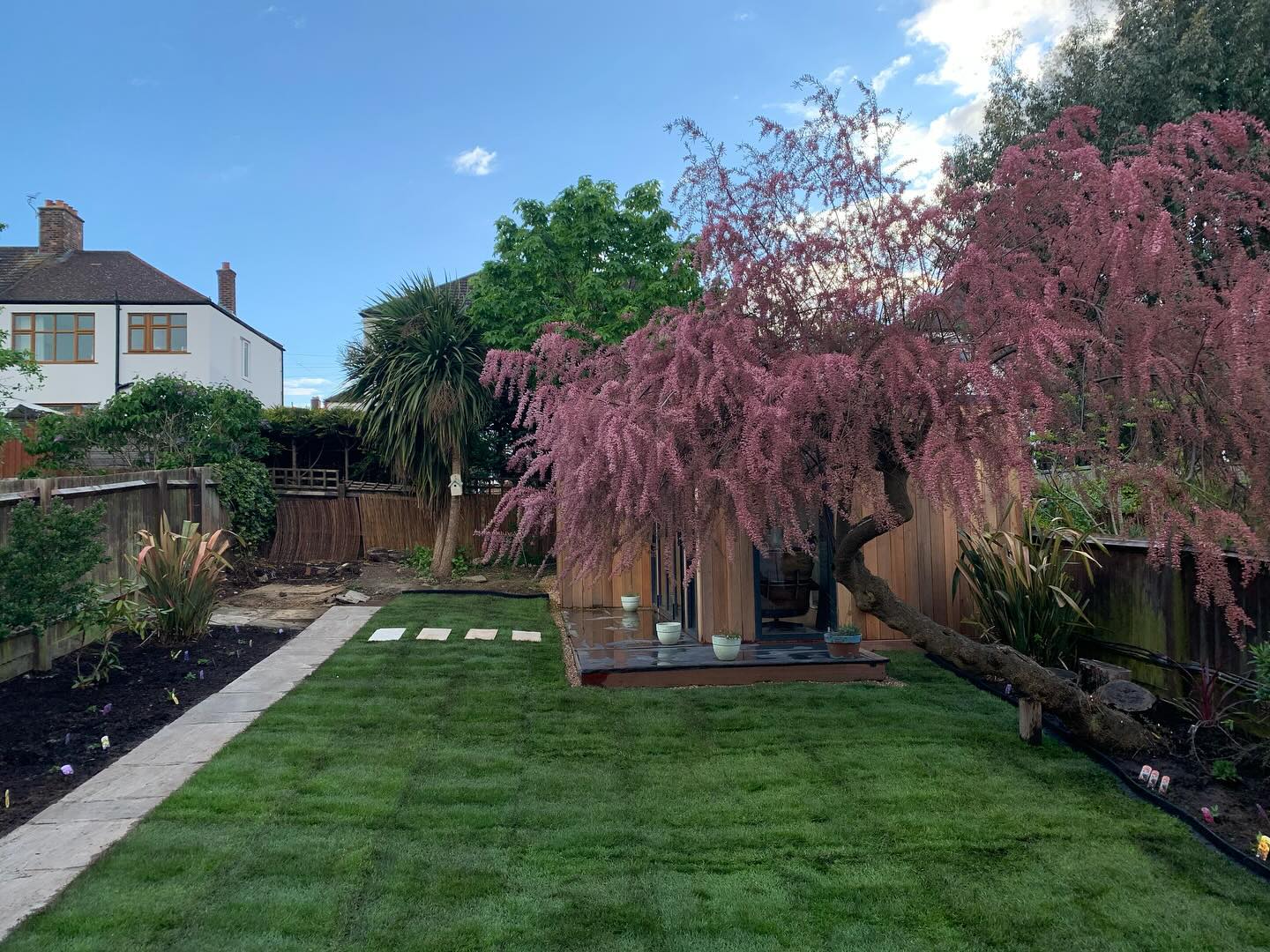 Förvandla din trädgård idag! ✨🌳
✅ Använd ditt rutbidrag vid betalaning
🔸Trädgårdsröjning
🔸Häckklippning
🔸Beskärning
🔸Ogräsrensning
🔸Gräsklippning