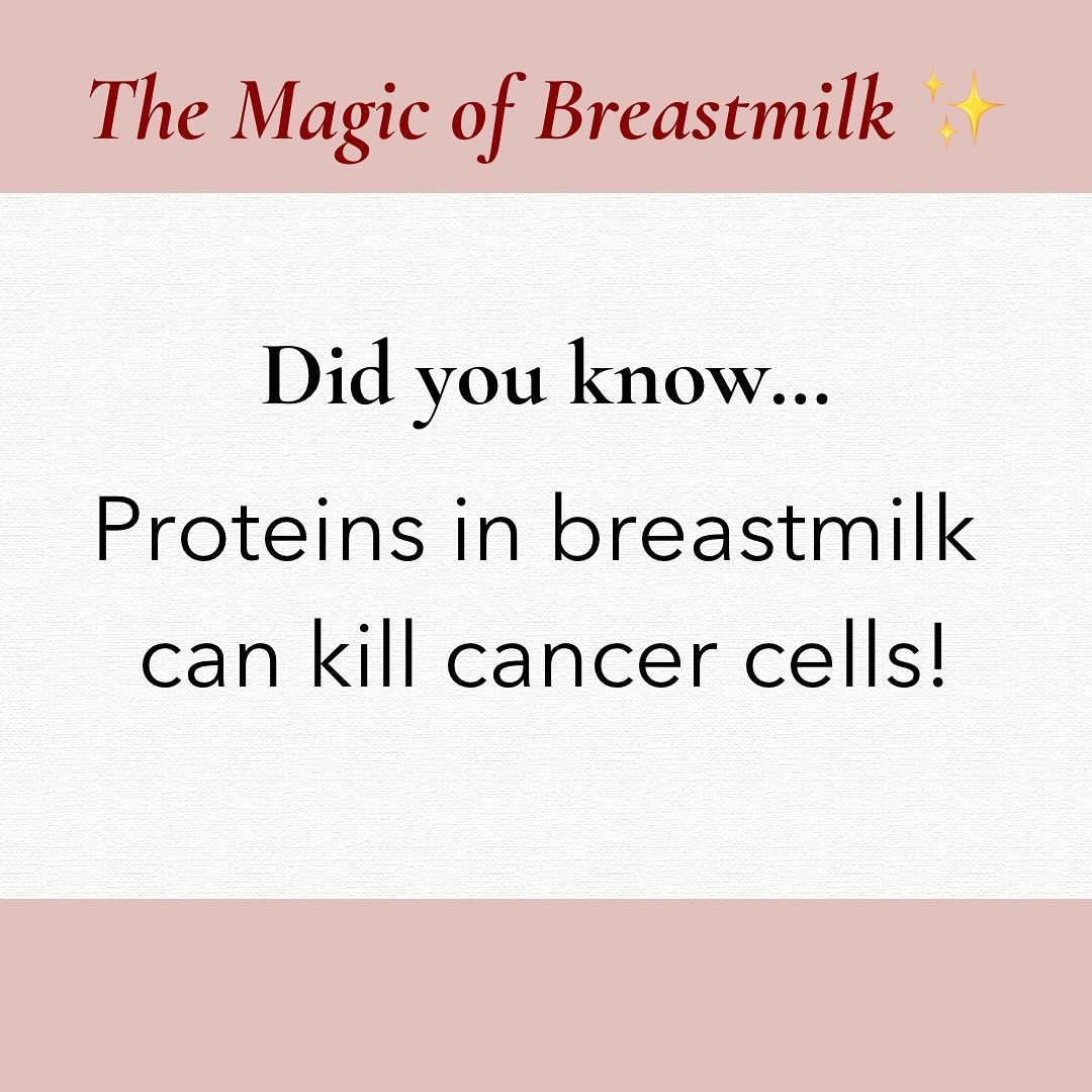 I’m a bit of a breastfeeding geek so I love discovering amazing facts about breastmilk and all the incredible benefits of breastfeeding for mums and babies #breastfeedingeducation #ibclc