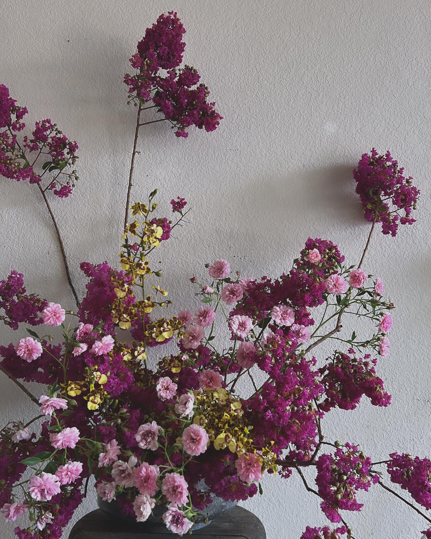 Summer Floofs
Crepe Myrtle tree, rose from my garden (forgot her name 🙃) and oncidium from TJ’s.
Not much is blooming or thriving in the Texas heat but these were some special blooms that caught my eye. And for those wondering, crepe myrtle doesn’t do very well as a cut flower, at least not with me, but I foraged it this morning and put it straight in water. Half of what I gathered wilted which I expected but thankfully I had enough to make this! I was inspired by the vibrant colors and orchids from Hawaii I had to make my good ol Texas version.
