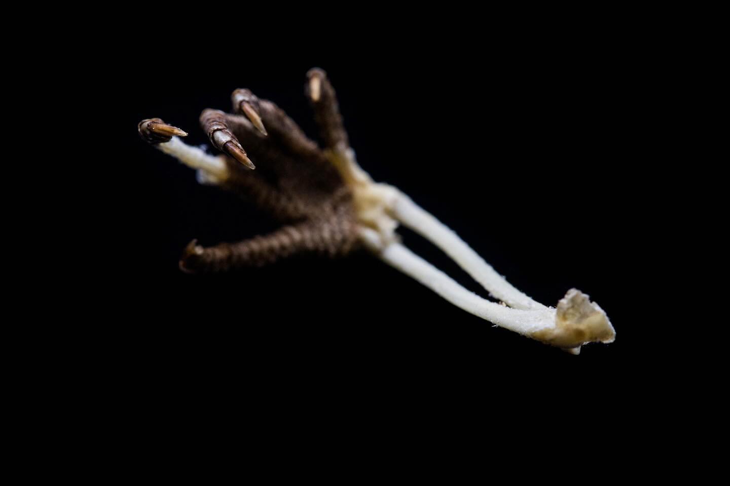 #science #electronmicroscope #laboratory #scienceart #sciencephoto #scientific #scienceweek #research #lab #micro #microscope #microscopy #medicine #medicalsciencestudent #medicalstudent #macrophotography #mineralomics #bio #biology #bioimaging #biologylab #minerals #chemistry #material #engineering #physics #sciencecommunication #ucl #Mineralomics