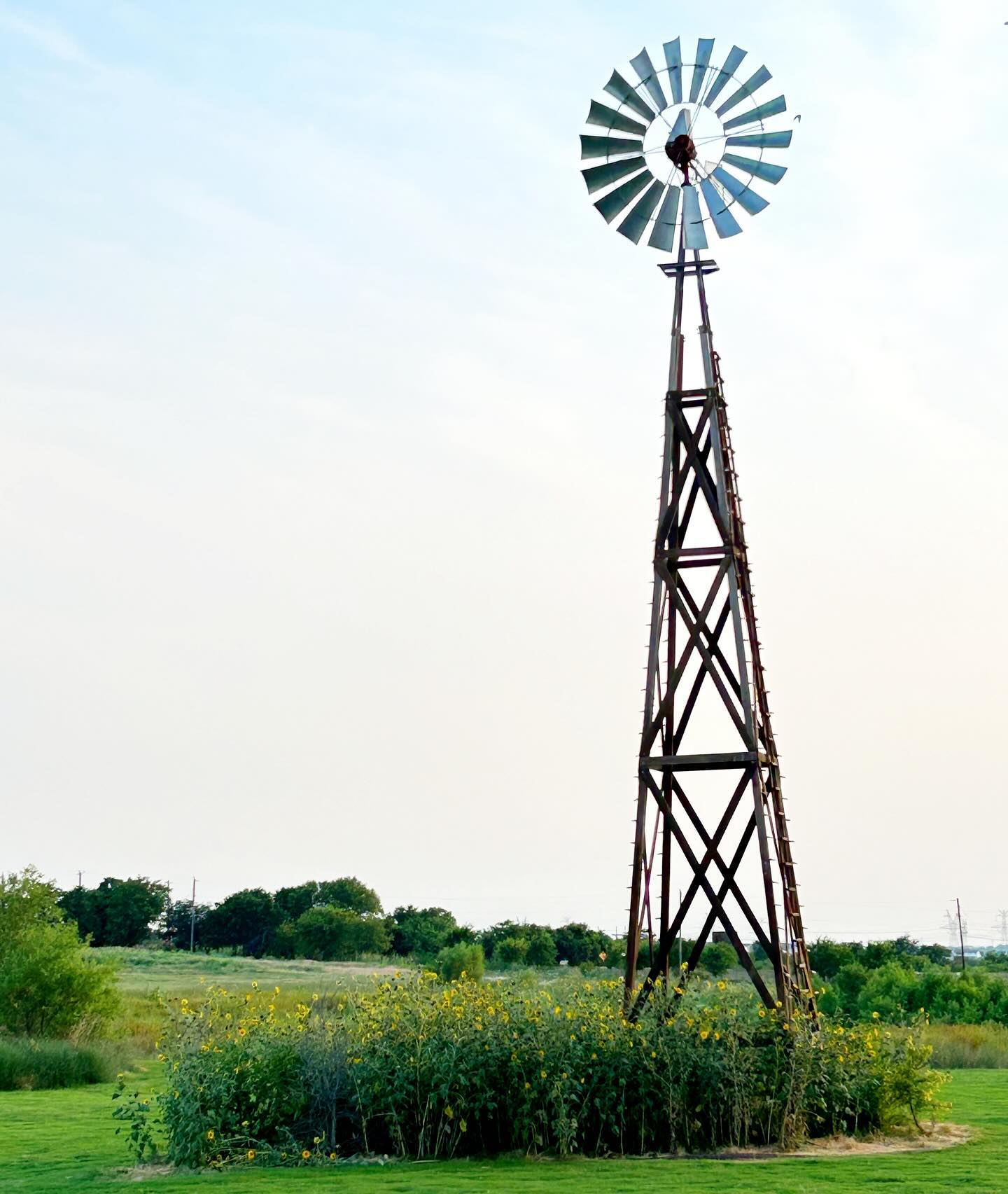 Texas grabs hold of you and never lets go. Less than 48 hours on the ground this weekend, and somehow it still feels like home. Watched a favorite get married, hugged our other favorites, and ate my required allotment of beef.
I cried on the way there because I wanted to go so badly yet I knew we were leaving our kids at an extraordinarily bad time, and then I cried on the way home because I didn’t get to stay longer.
Right decision confirmed when I returned home to the summer that just won’t stop giving - overnight burglary of our property while the kids were here alone. Fortunately, not much of monetary value was taken even though plenty could’ve been. If you live in Medway - heads up.
Pray for my scared children tonight. They need sleep, and since I got exactly 2 hours last night bc of a late wedding and early flight, so do I.