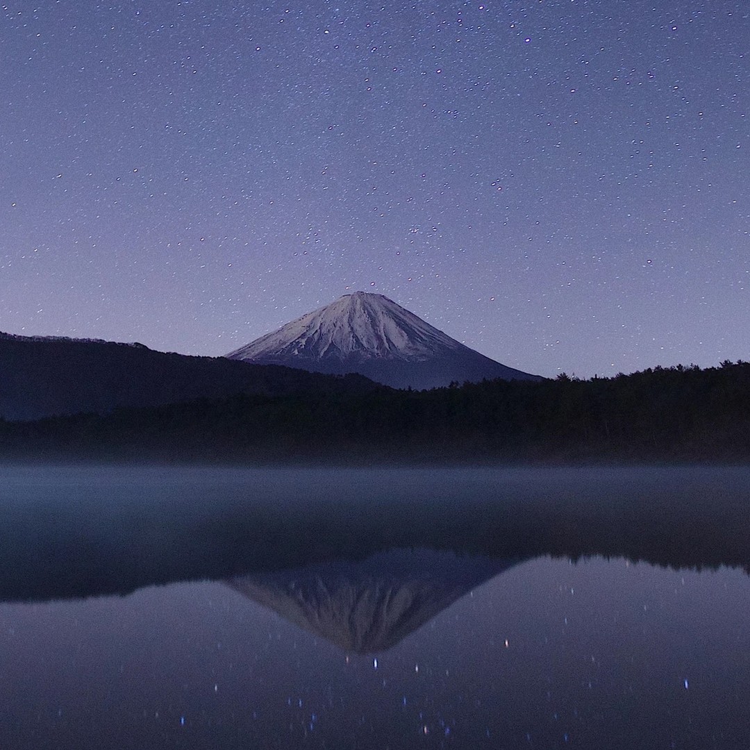 "Two men stand at the edge of a clearing,
looking up at the night sky, cloudless and still,
heavenly bodies never this present
in the light polluted world they’ve left,
searching for something – each hopes
to know it when he sees it..."
Metaphor by D.A. Gray