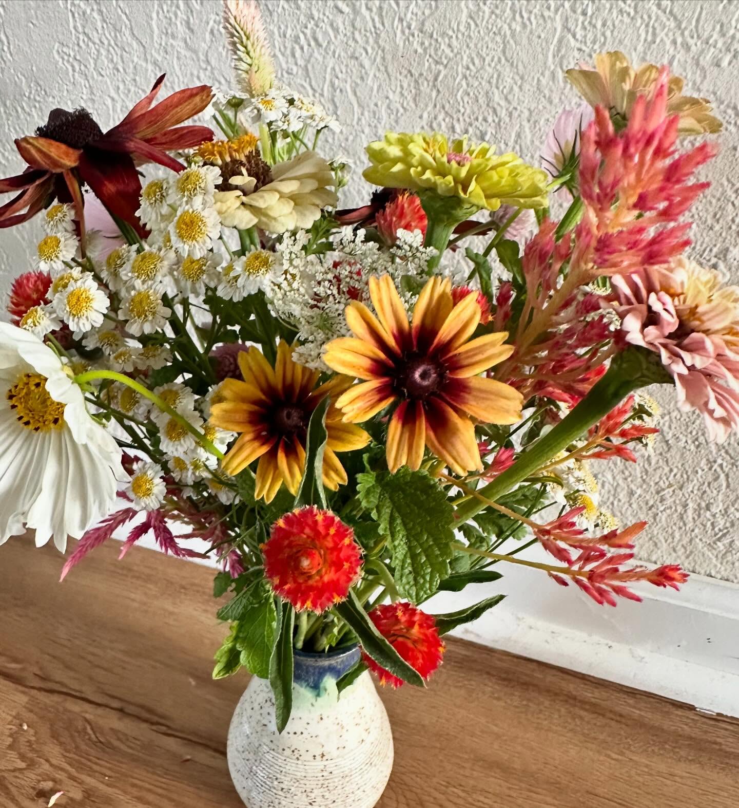 August is feeling like fall this morning. The kids are going to school, it’s chilly and breezy out, and summer went way too fast. But! Look at the flowers! #wellgrownflowers #wellgrownfarm #localflowers