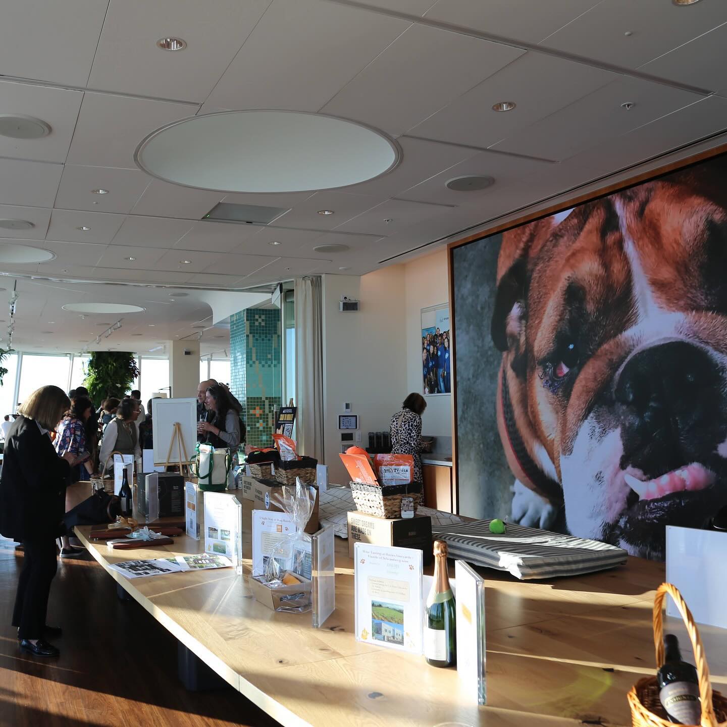 Thank you all so much for your support last night at our Penthouse Pawty! 🧡 We are incredibly touched by your massive support. See you all next time!