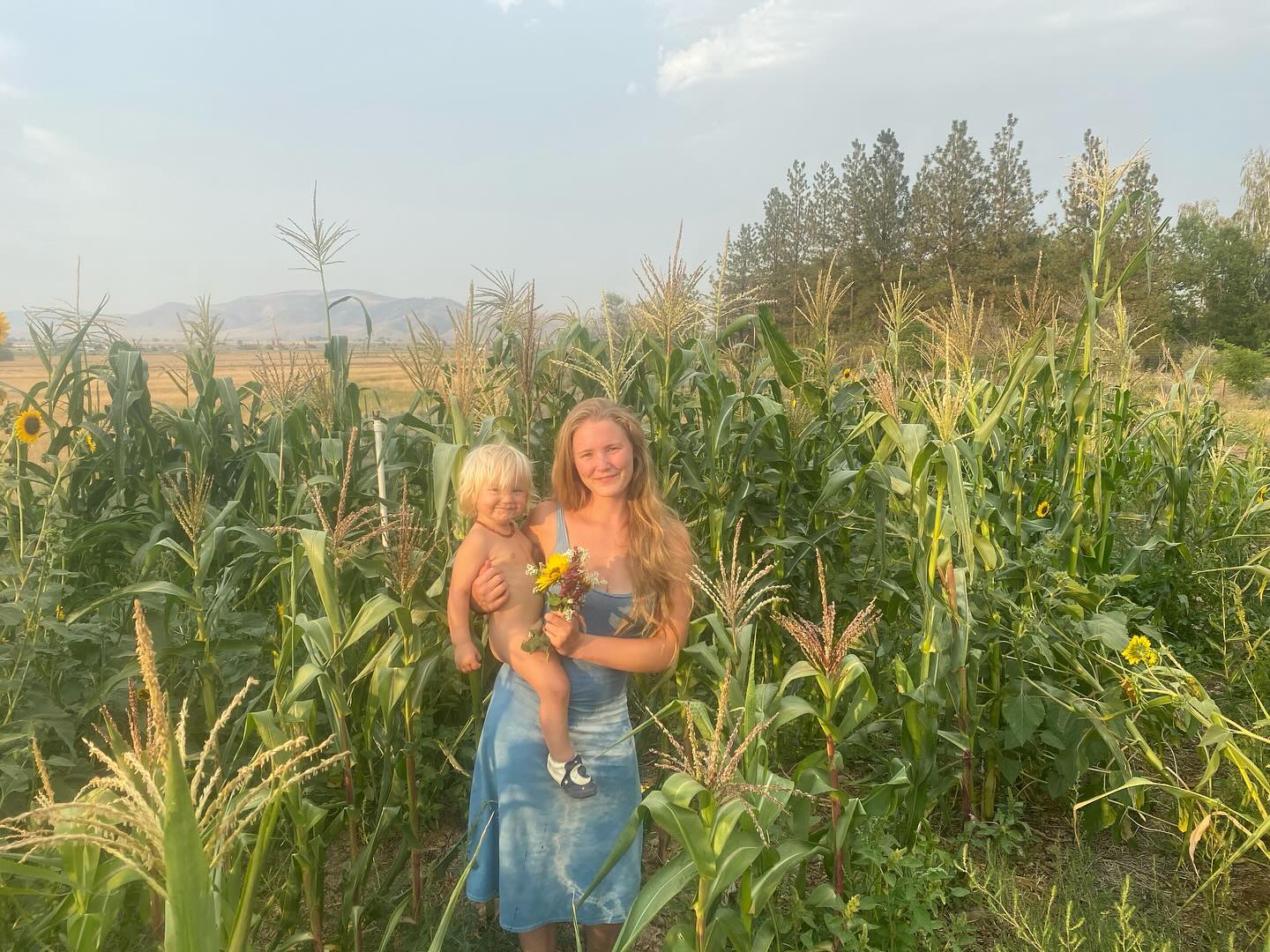 Squash patch growing where the corn grew last year and corn growing in the old potato patch 🌽 Crops rotating their way around the gardens. Last year’s rogue potatoes the we missed while digging have been thriving in the understory of the corn crop!
We’ve also been adding more and more flowers to the gardens and they have been bringing us so much joy both in the garden and the home 🌹
#permaculture #organicgardening #homestead #corn #squash #august #permies