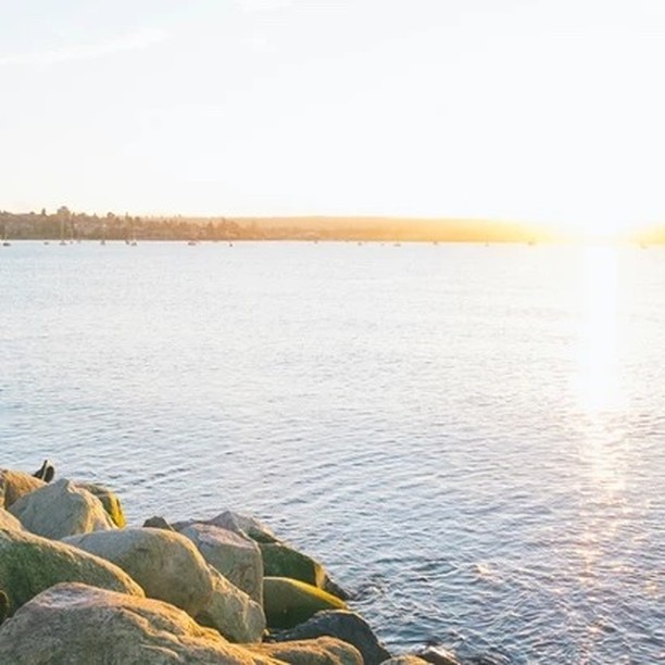 Summer 2024: Editor's Note
"The summer night is like a perfection of thought." — Wallace Stevens