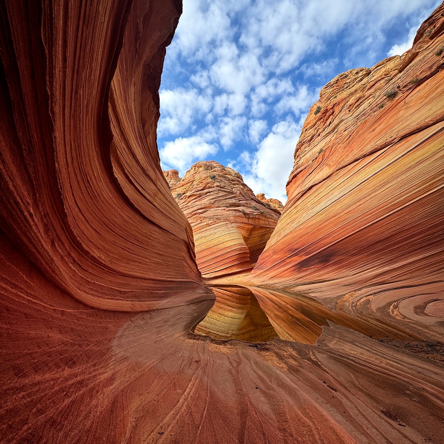 A landmark worth the wait for a memorable view. #thewave #thewavearizona #hikingtrails #getoutandexplore