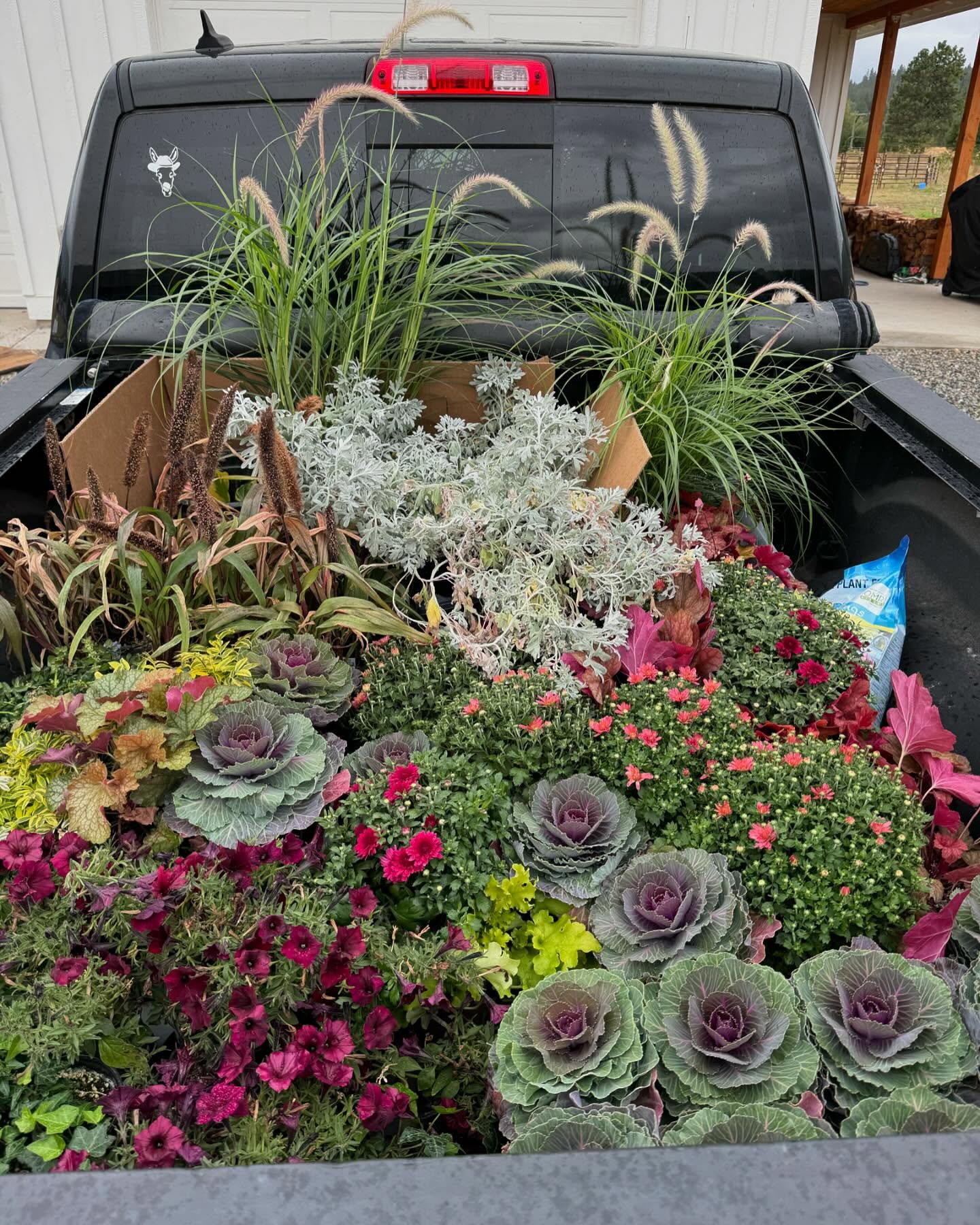 I want to swim in this color palette. #prettyporch