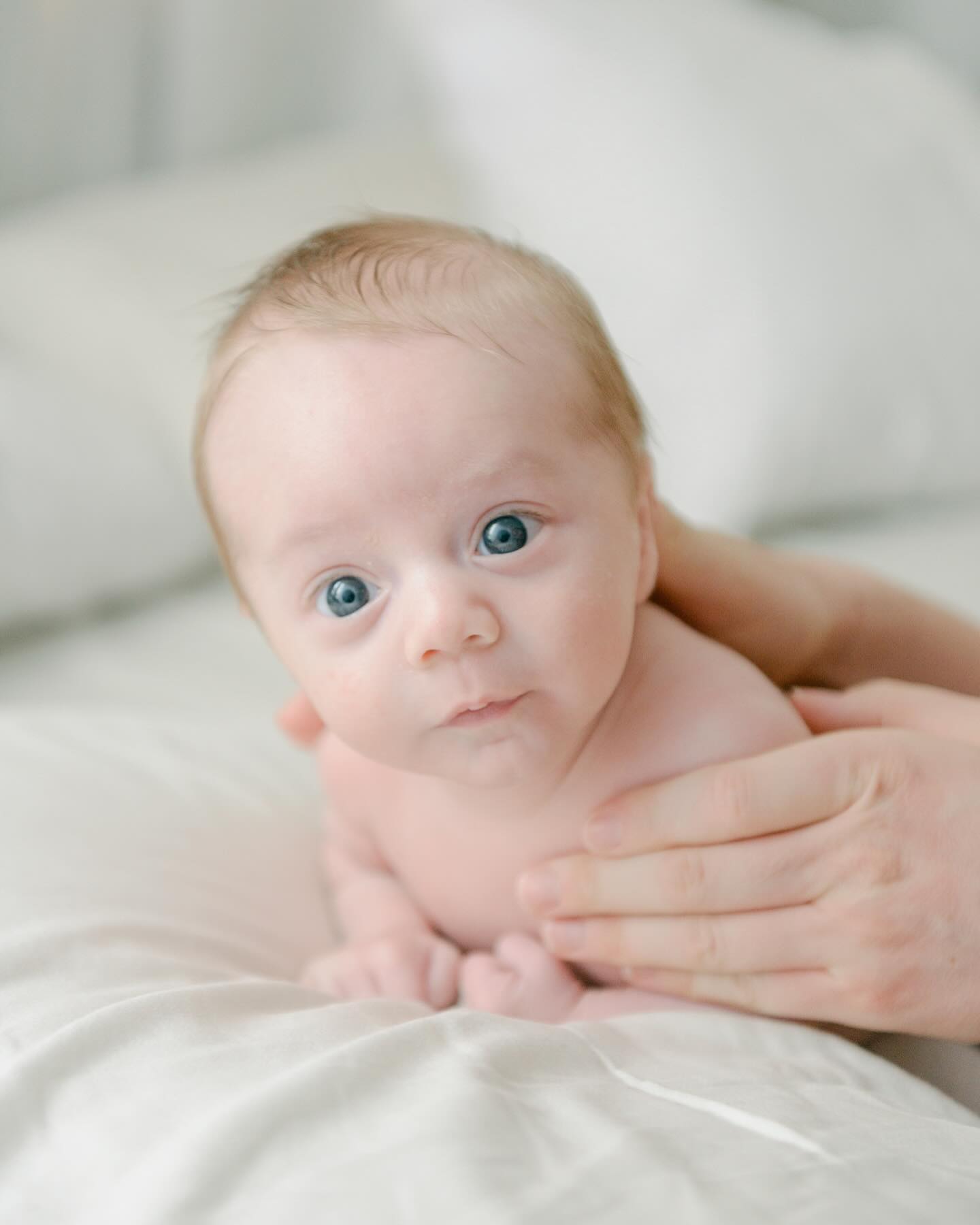 A cheeky monkey with those sweet baby blues 🤍 Look at that faaaaaace 🥰🥰🥰 He was just so content to be naked after his nap - I mean, who could blame him??
.
.
.
.
.
.
#candidnewbornphotography #babyblues #newbornboy #sweetbabyboy #newbornphotography #maternityphotography #familyphotography #familylifestyle #weddingphotography #torontomaternityphotographer #torontonewbornphotographer #torontofamilyphotographer
#torontoweddingphotographer
#torontophotographer #gtaphotographer #ontariophotographer #torontoportraitphotographer #torontoeventphotographer
#refinedpresets #refinedco #lightroompresets #naturallight #naturallightphotography #lightandairy #megmateraphotos