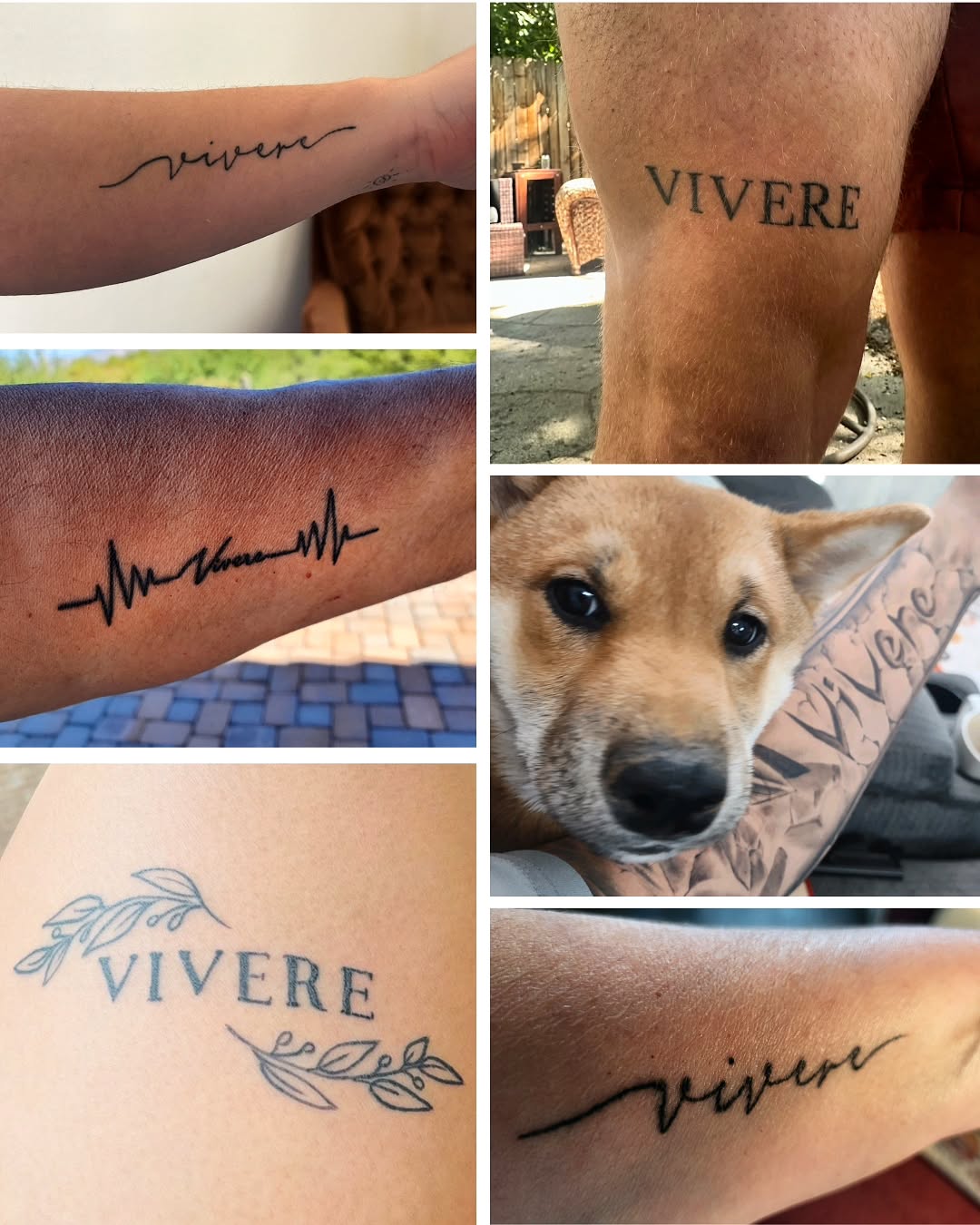 Hey all! We’ve got some new friends around here, so let’s reintroduce Mission: Vivere and what we’re all about.
.
.
💚 Our name refers to our family motto. Vivere means ‘to live’ in Italian. It was Anthony’s personal testimony during his battle with cancer - to intentionally live life; to do his best not to let depression or overwhelm win, despite the insane challenges and hurdles he faced. It was how he approached life in general, living life to the fullest: bold, loud, proud, and being his most authentic self.
.
.
🪖 Mission is a nod to Anthony’s military background. This was something he was incredibly proud of; his time in the military brought him various mentors, leadership lessons, and lifelong friendships.
.
.
❤️🩹 ~30 friends & family have adopted this mentality, tattooing themselves with this reminder.
.
.
We'll be posting every day leading up to Anthony's birthday on Friday. Stay tuned for some exciting updates coming soon! The link is in our bio for more info.
