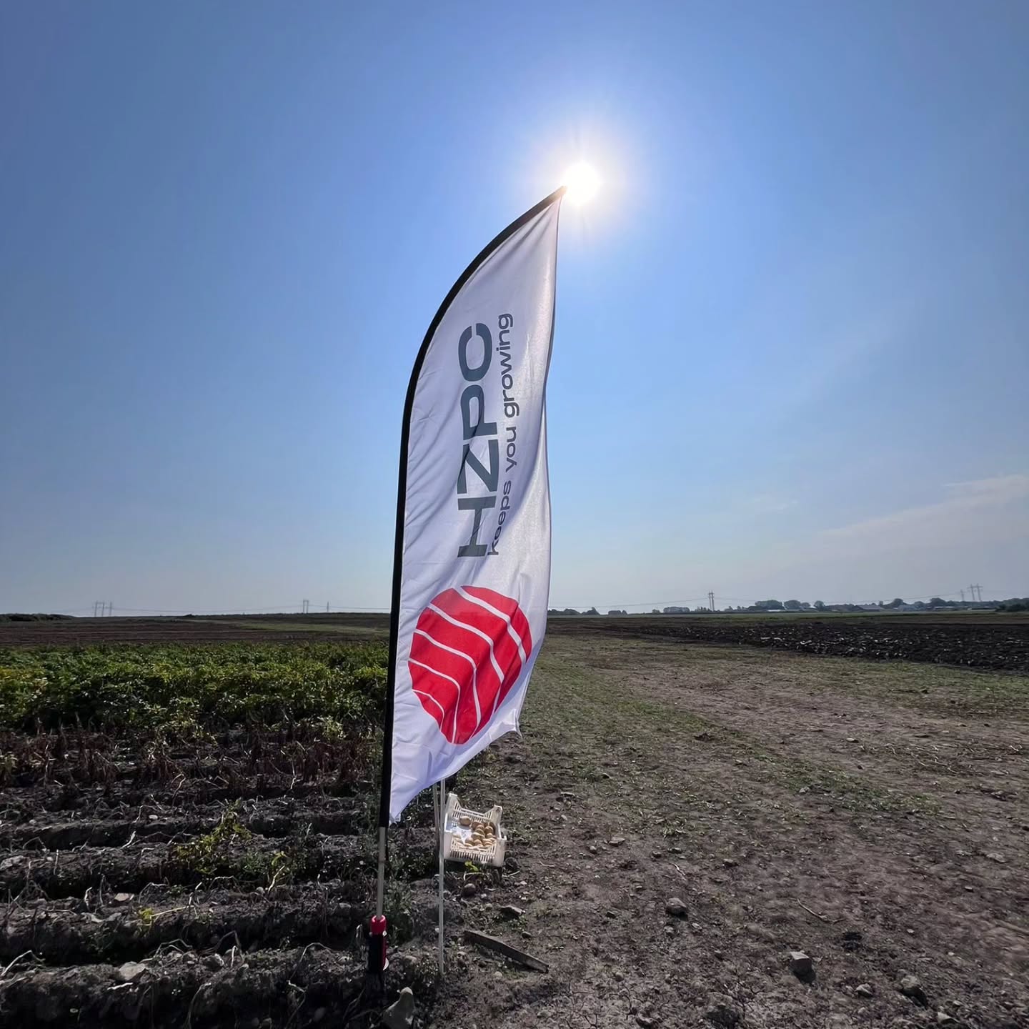 Helteiset Borgebyn peltopäivät keräsivät runsaasti väkeä perunalajikkeiden ympärille. HZPC:lta mukana koekäntällä olivat tänä vuonna Annabelle, Helmi, Colomba ja Sunita. Jauhoinen Helmi kiinnostaa kovasti 👍 ja muutkin lajikkeet saivat mukavasti huomiota osakseen. Tästä on hyvä jatkaa. #peruna #potatis #potato #siemenperuna #fromfinland