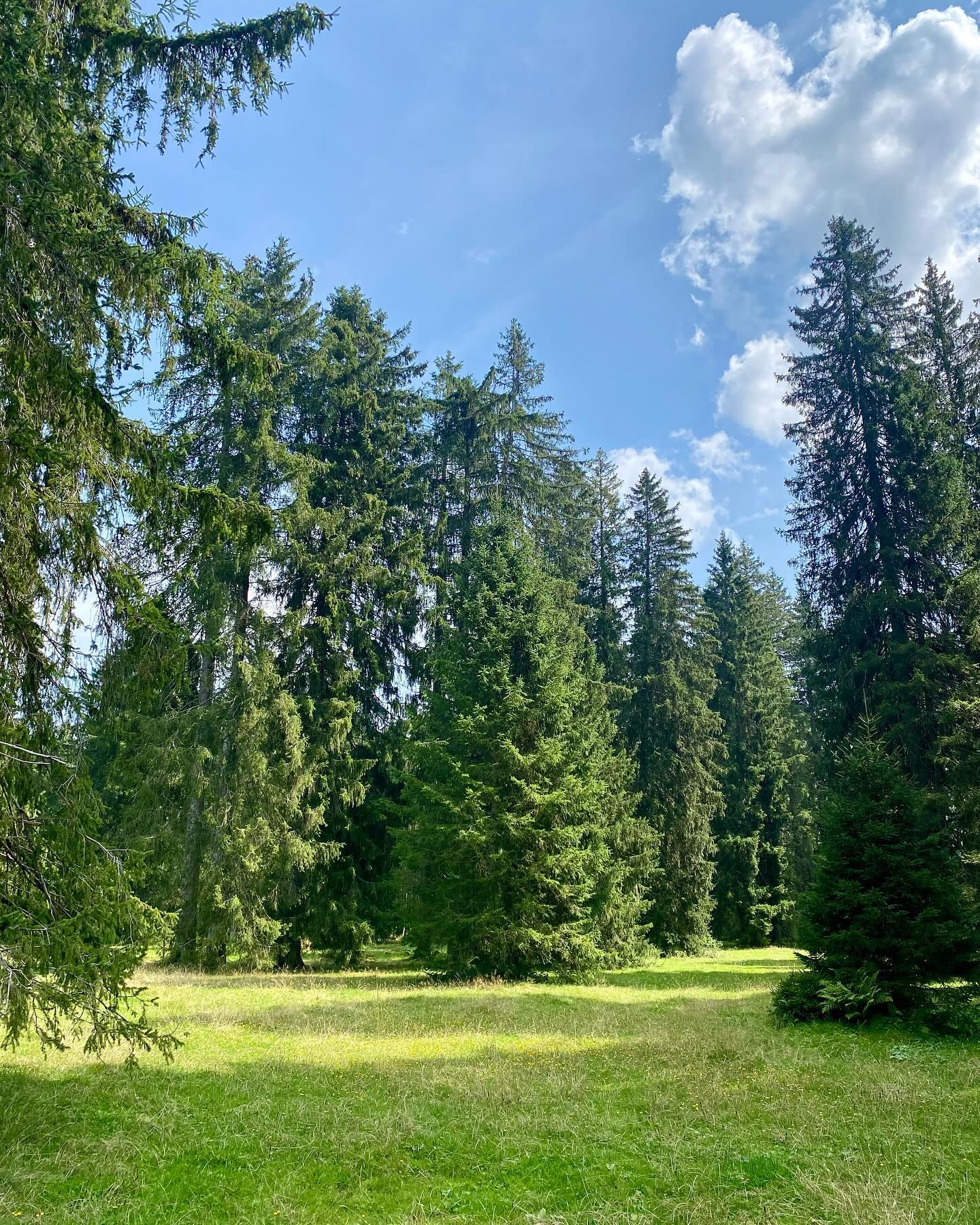 🎗️…les Meilleurs moments ,
NATURE & BIEN-ÊTRE 💚🌱🌿🌲🍃☘️💚