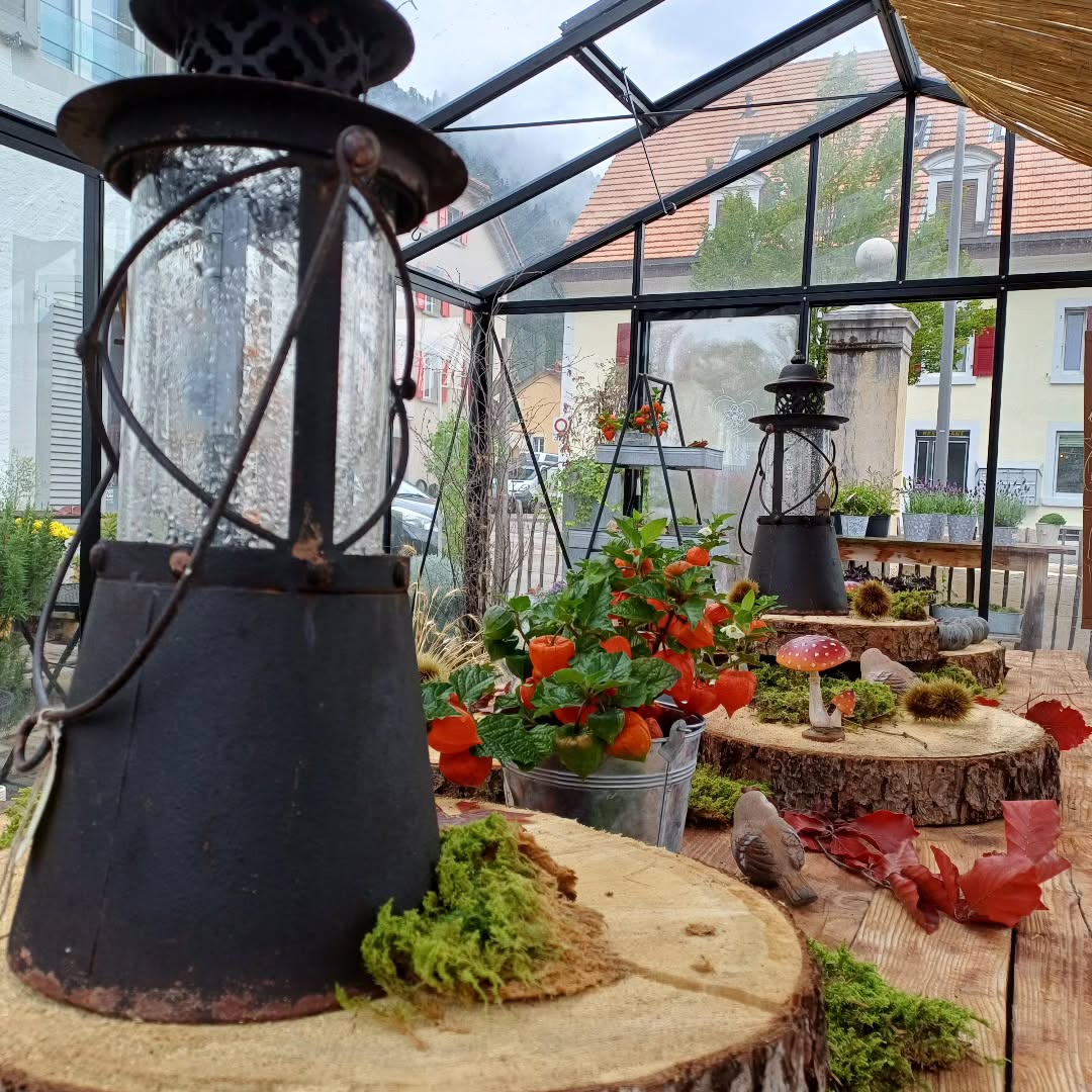 #autumn #automne 🍂🍂🍂