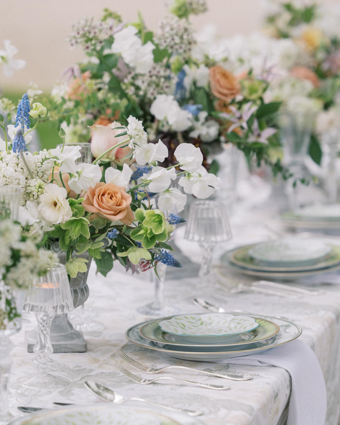The art of the gathering. I loved this organic, delicate table design and decor fit for an intimate celebration at @chateaudugrandluce in France 🩵 As seen in @stylemepretty
.
.
.
Photography @vsphotography_insta
Host: @mollycarrphotography
Designer / Florist: @rachaelellenevents
Venue: @chateaudugrandluce
Hair & Makeup: @jenlagers
Bride’s Fashion: @moniquelhuillierbride
Groom’s Fashion: @rives_paris
Paperie: @shastabellcalligraphy
Linens: @reverie_social
Tabletop: @charlesmayerco
Cake: @monanniecakes
Surfaces: @chasingstone
.
.
.
#grandluce #lemans #franceweddingplanner #chateauwedding #destinationwedding #parisphotographer #frenchwedding #francewedding #italywedding #provencewedding #southoffrancewedding #parisweddingplanner #france #weddinginparis #fineartcuration #mariage #weddinginfrance #frenchweddingstyle #tabledecor #destinationweddingfrance #filmphotography #fineartweddingphotographer #weddingphotographerfrance #chateau #elopementphotographer #parisweddingphotographer #franceweddingphotographer #elopeinparis #receptiondecor