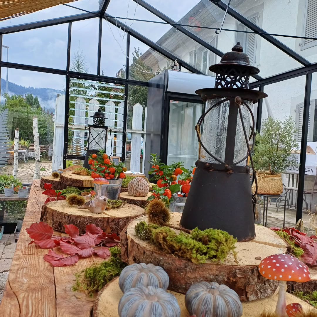 #autumn #automne 🍂🍂🍂