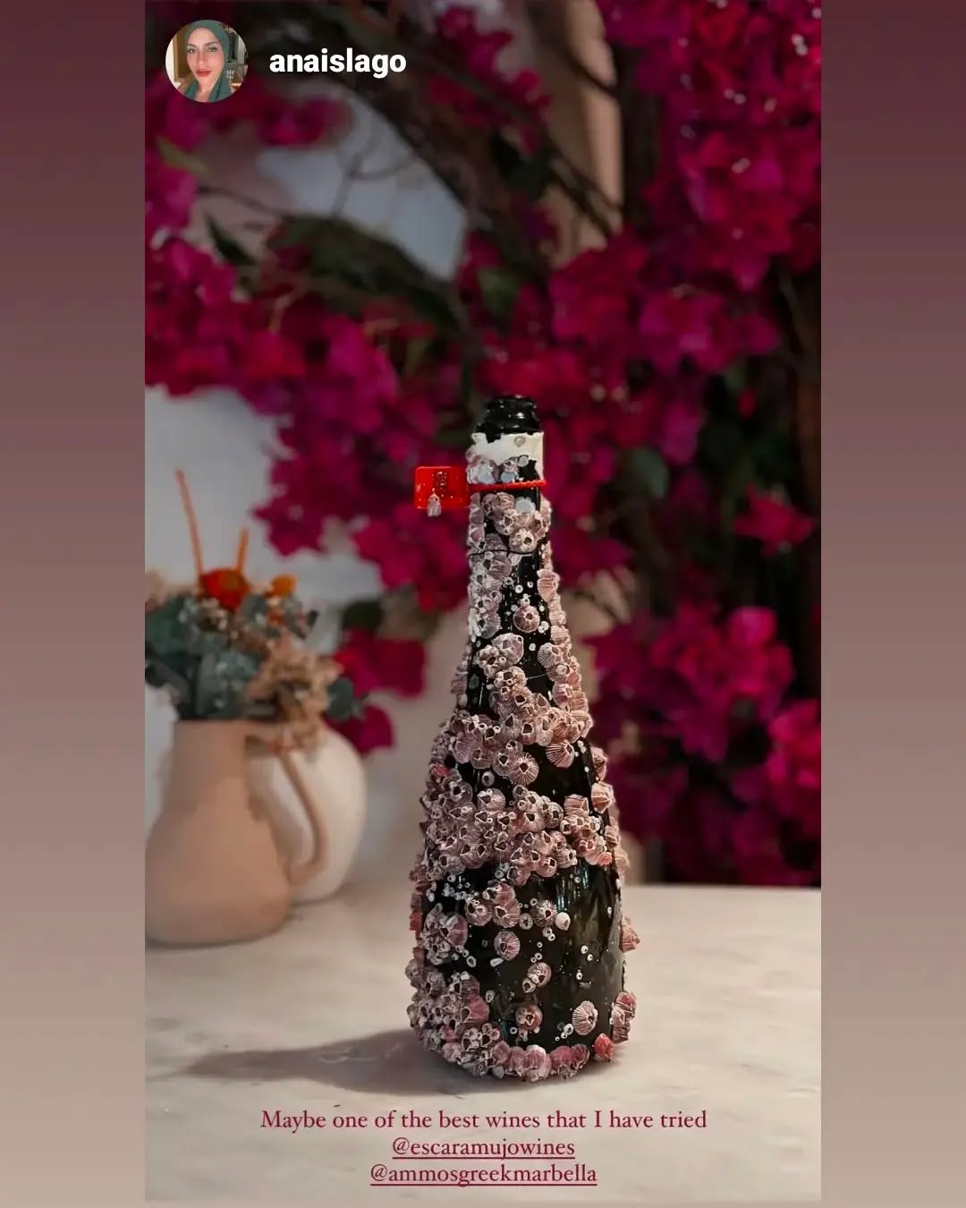 <<Maybe one of the best Wines that I have tried>>
Gracias @anaislago por tu publicación y comentario tras degustar una de nuestras botellas de Espumoso de Miel Submarino