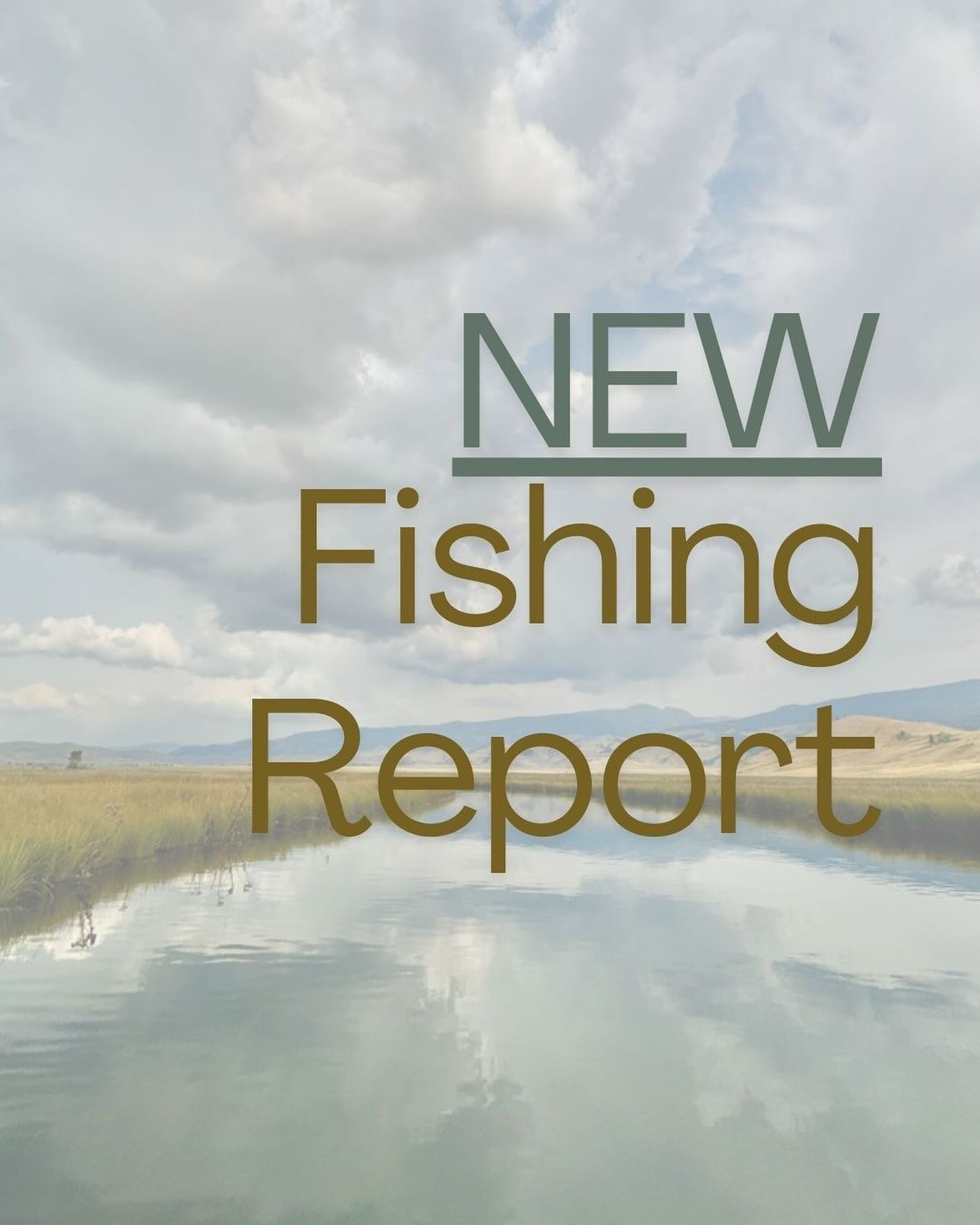 Latest blog post: Fingers Crossed for an Indian Summer by Ken Takata #linkinbio
Come chat with the fishing staff to get all the latest intel on our area waters. Limited openings still available to get out on the water with one of our experienced guides. Call us to book your trip (307) 733-3270.
Open daily 10am-6pm
#jdhighcountryoutfitters #jacksonhole #visitjacksonhole #flyfishing #jacksonholeflyfishing