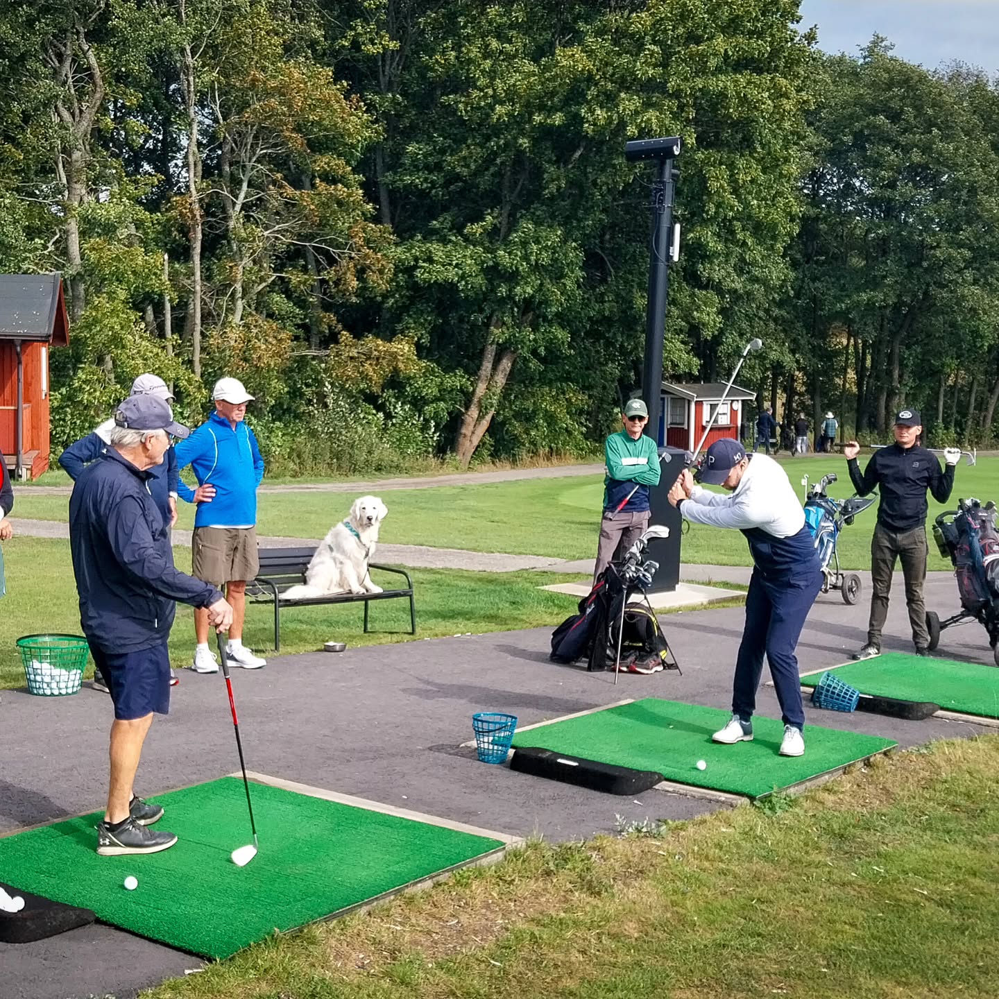 Träningskortet börjar gå mot sitt slut för säsongen. Här lyssnar både människor och hundar med öppna öron för att lära sig drawa bollen. Nästa stora projekt är vinterkursen. Har du anmält dig än?