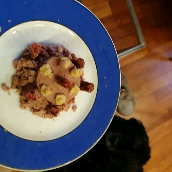 Emely konnte heute ihren 14. Geburtstag feiern. Happy birthday kleiner Superhund ❤️❤️❤️🥳