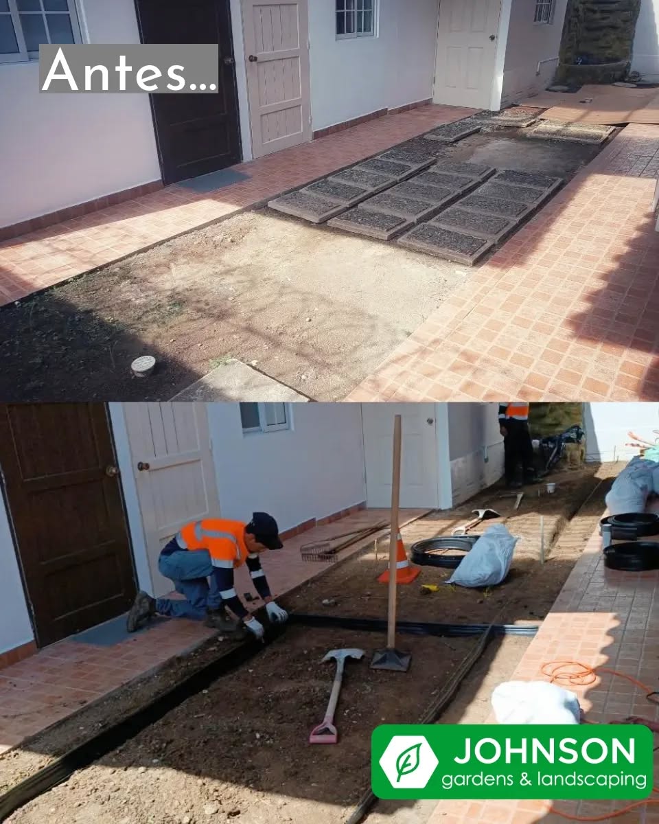 Pequeños cambios que marcan grandes diferencias 🤲🏻🌺🪴 #panama #landscape #jardineria #plantas #panamajardines
Para cotizaciones 📱6174-9092