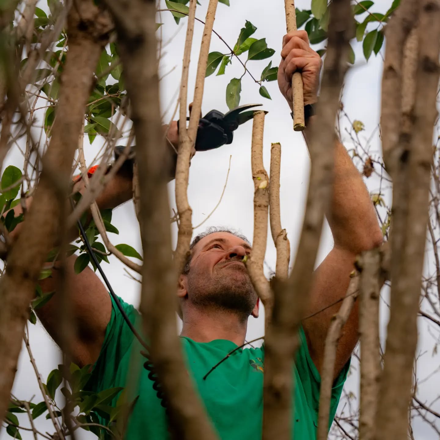 Nos équipes, parmi toutes leurs missions variées, vont tailler comme jamais cet hiver dans vos jardins après ce printemps humide. 🌿
N'hésitez pas à faire appel à Val Drôme Paysage pour tous travaux paysagers de création et d'entretien. ☀️
📷 Crédit : @thevenet.photographie
#valleedeladrome #biovallee #paysagiste #jardin #drome #aoustesursye
