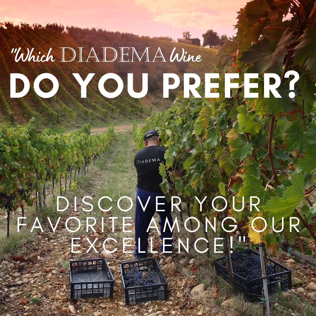 Diadema wines are a favorite and make great gifts