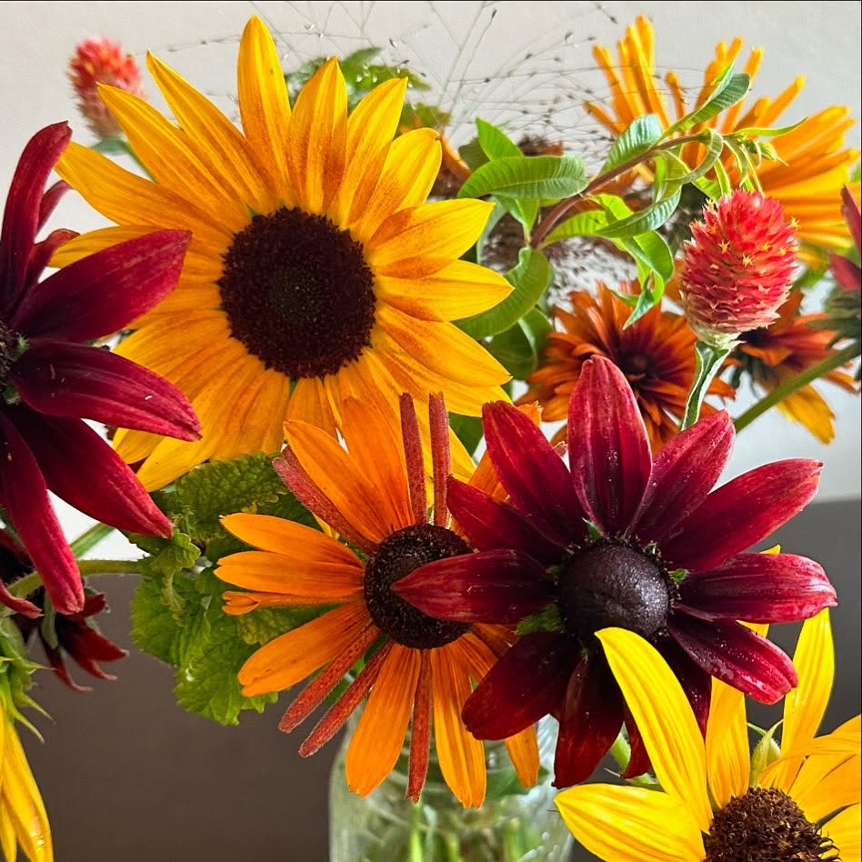 Gosh I love these fall colors. And the cooler days and clearer skies aren’t too bad either. #wellgrownfarms #wellgrownflowers #localflowers