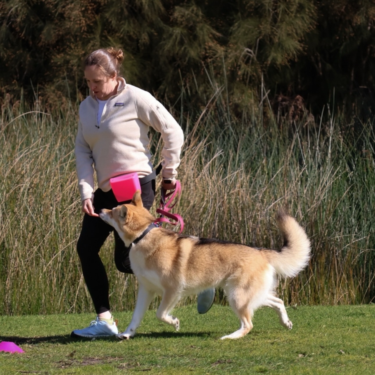 Well done Evie with Lykosia Ember - 4th place in Open B*tch 🎉💖