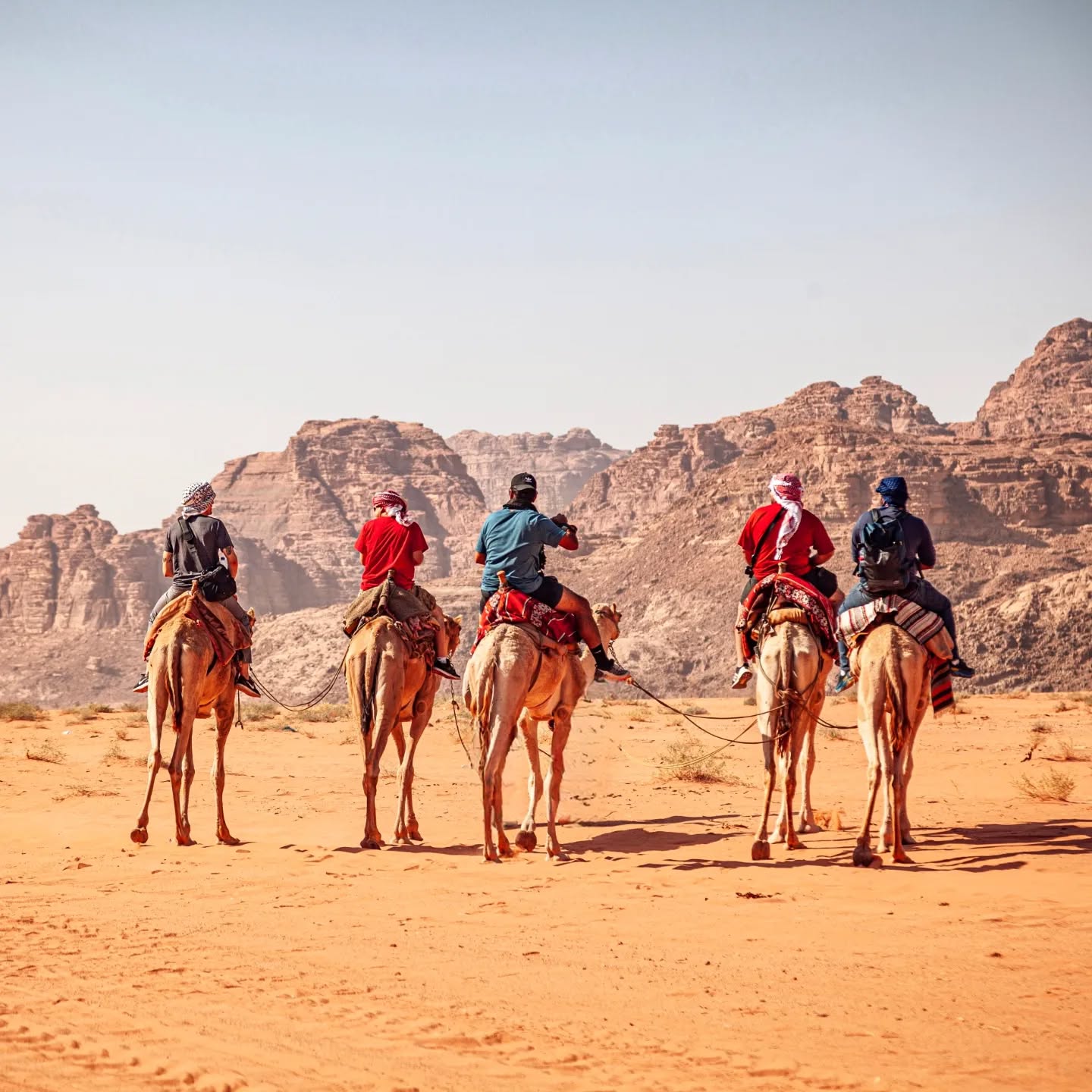 Nostalgia
#jordan #wadirum #wadirumdesert #desert #dunes #camels #camelride #explorers